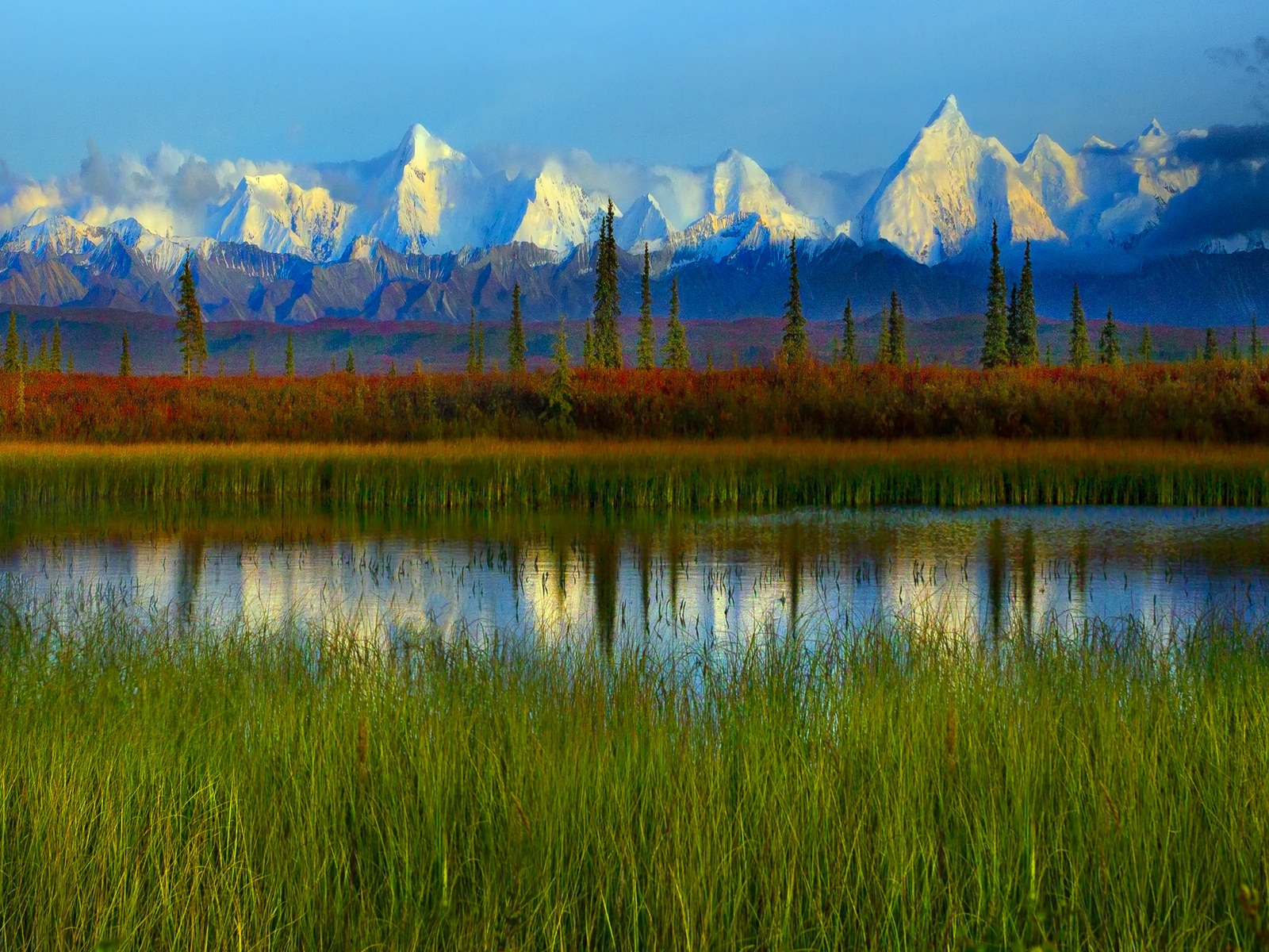 Denali National Park 迪納利國家公園 高清風景壁紙 #14 - 1600x1200