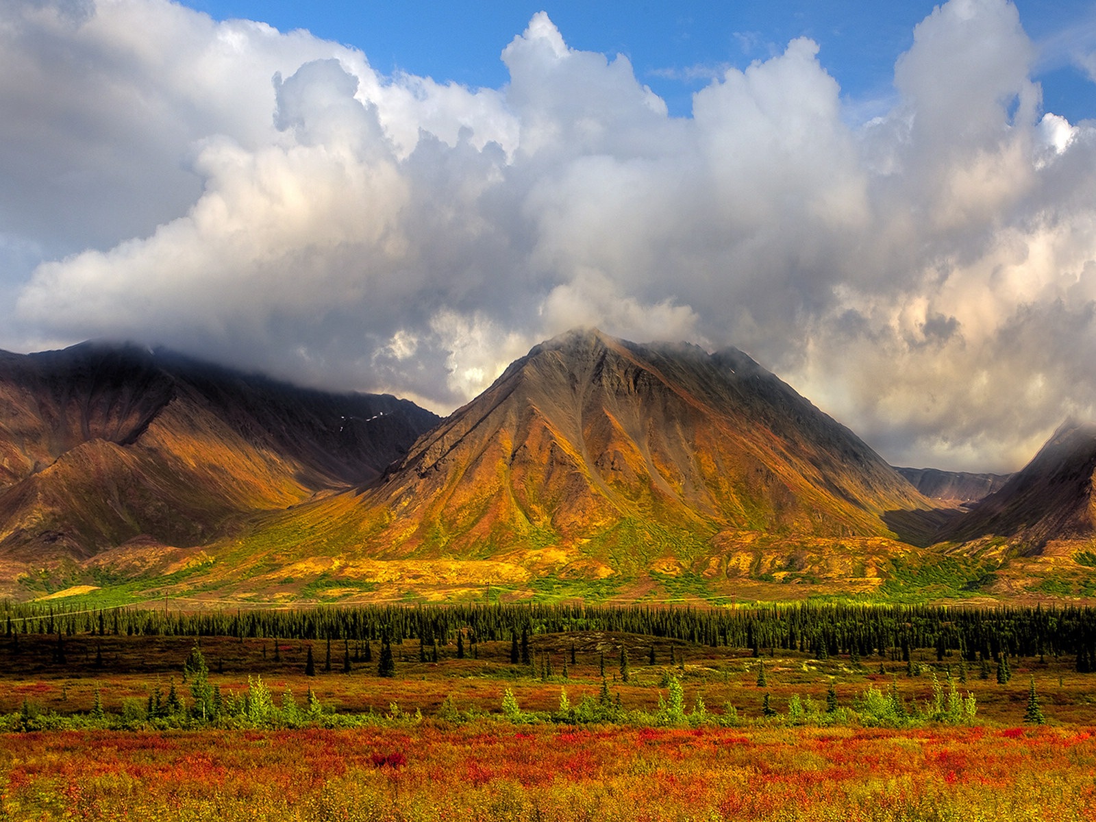 Denali National Park 迪納利國家公園 高清風景壁紙 #16 - 1600x1200