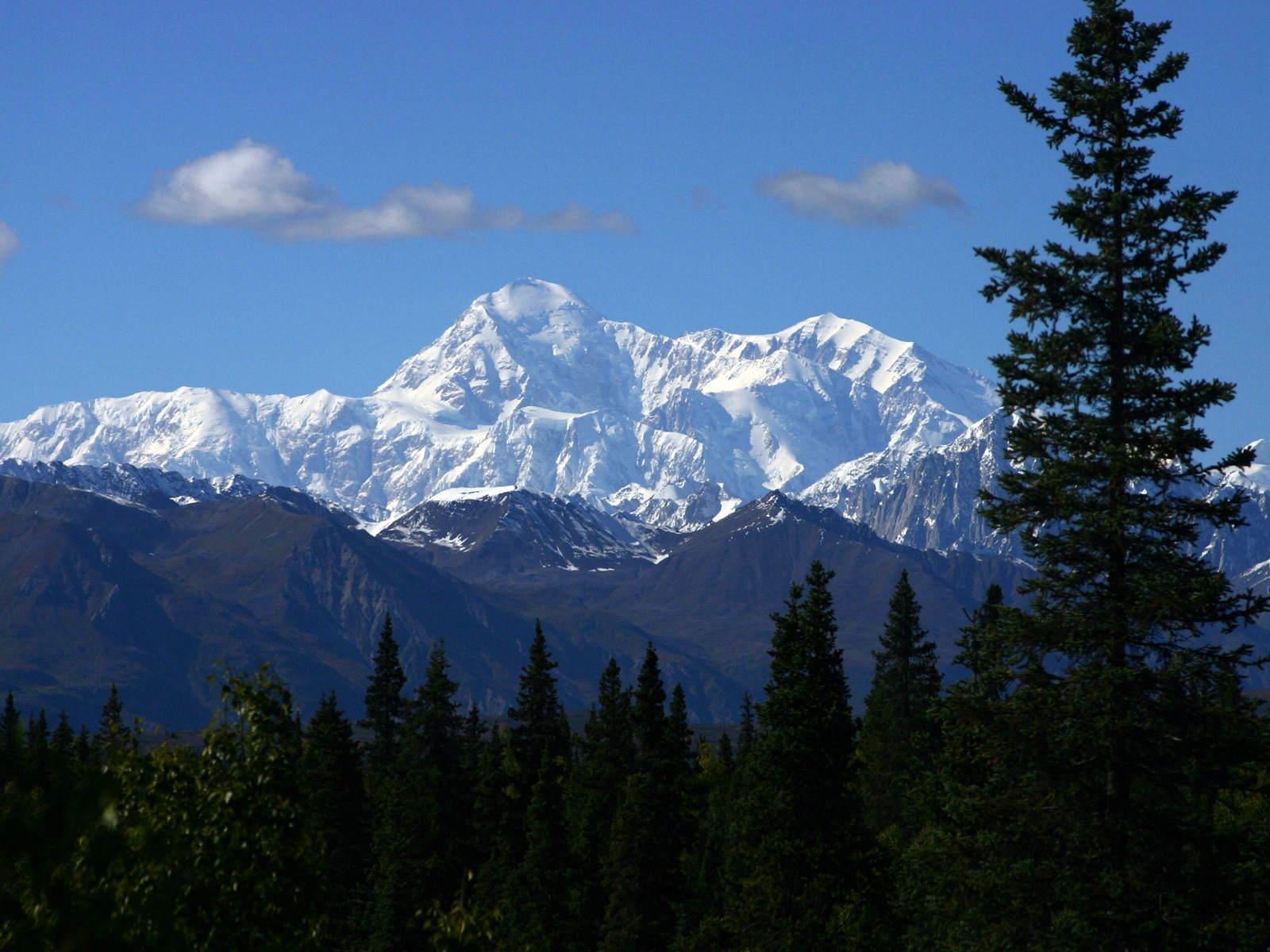 Denali National Park HD Tapety #17 - 1600x1200