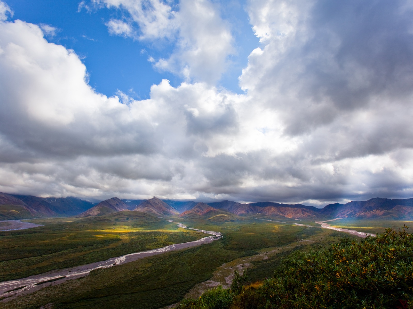 Denali National Park 迪納利國家公園 高清風景壁紙 #18 - 1600x1200