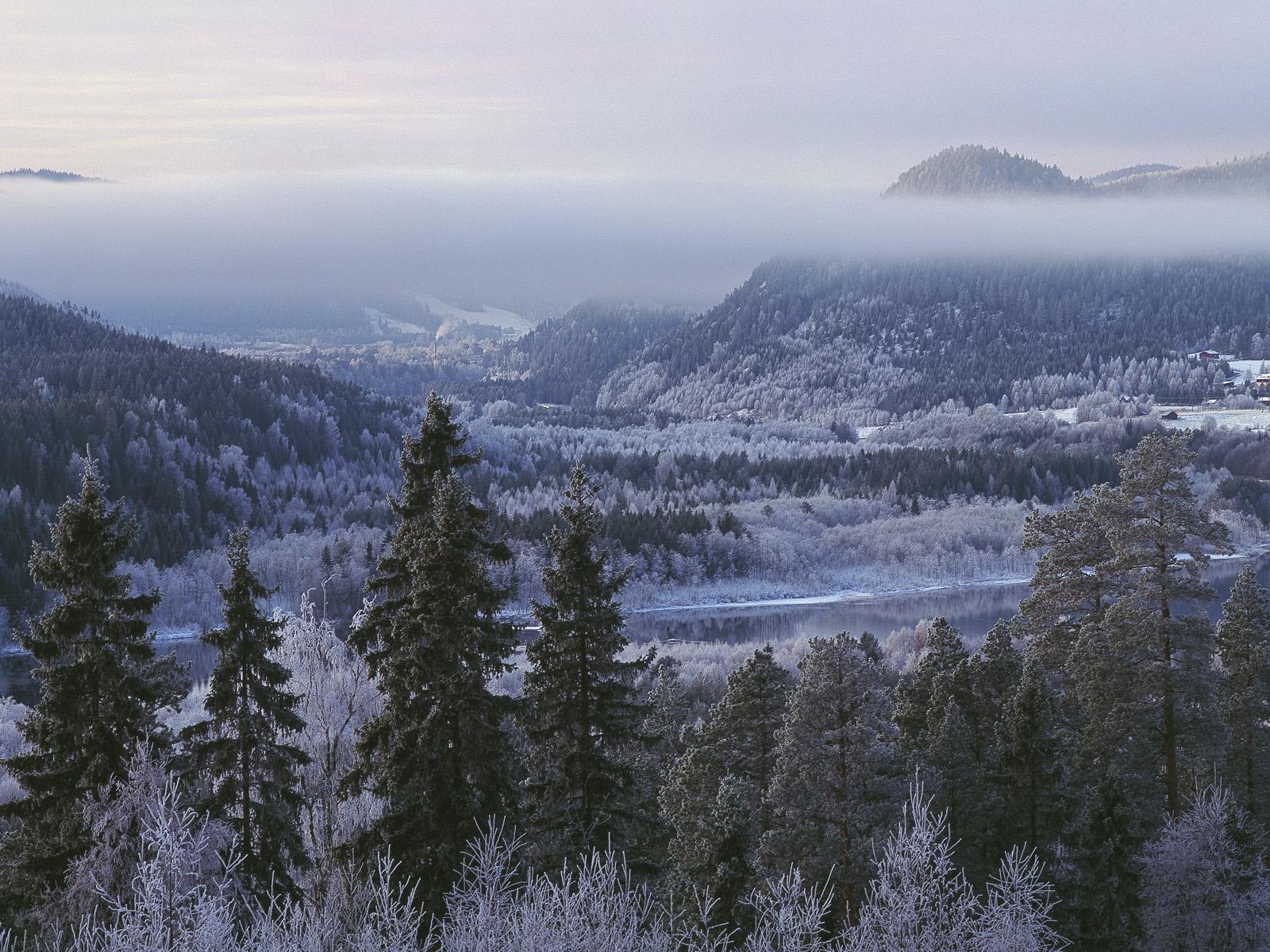 Švédsko sezón přírodní krásy HD tapety na plochu #17 - 1600x1200