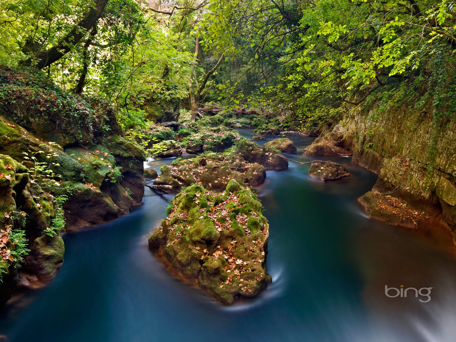 2013 Bing 必應秋季風景、動物、城市高清壁紙 #2 - 1600x1200