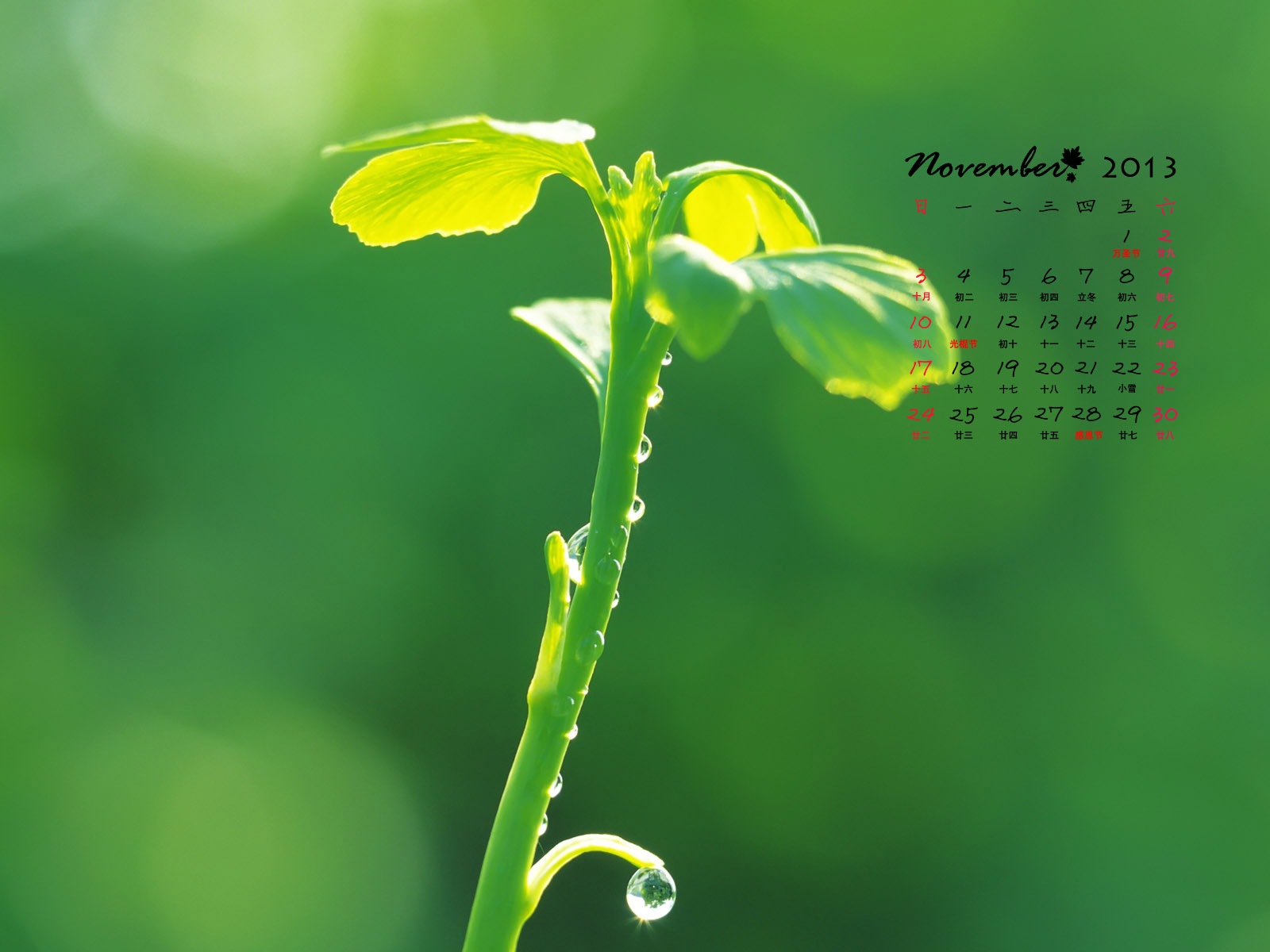 November 2013 Calendar wallpaper (1) #9 - 1600x1200