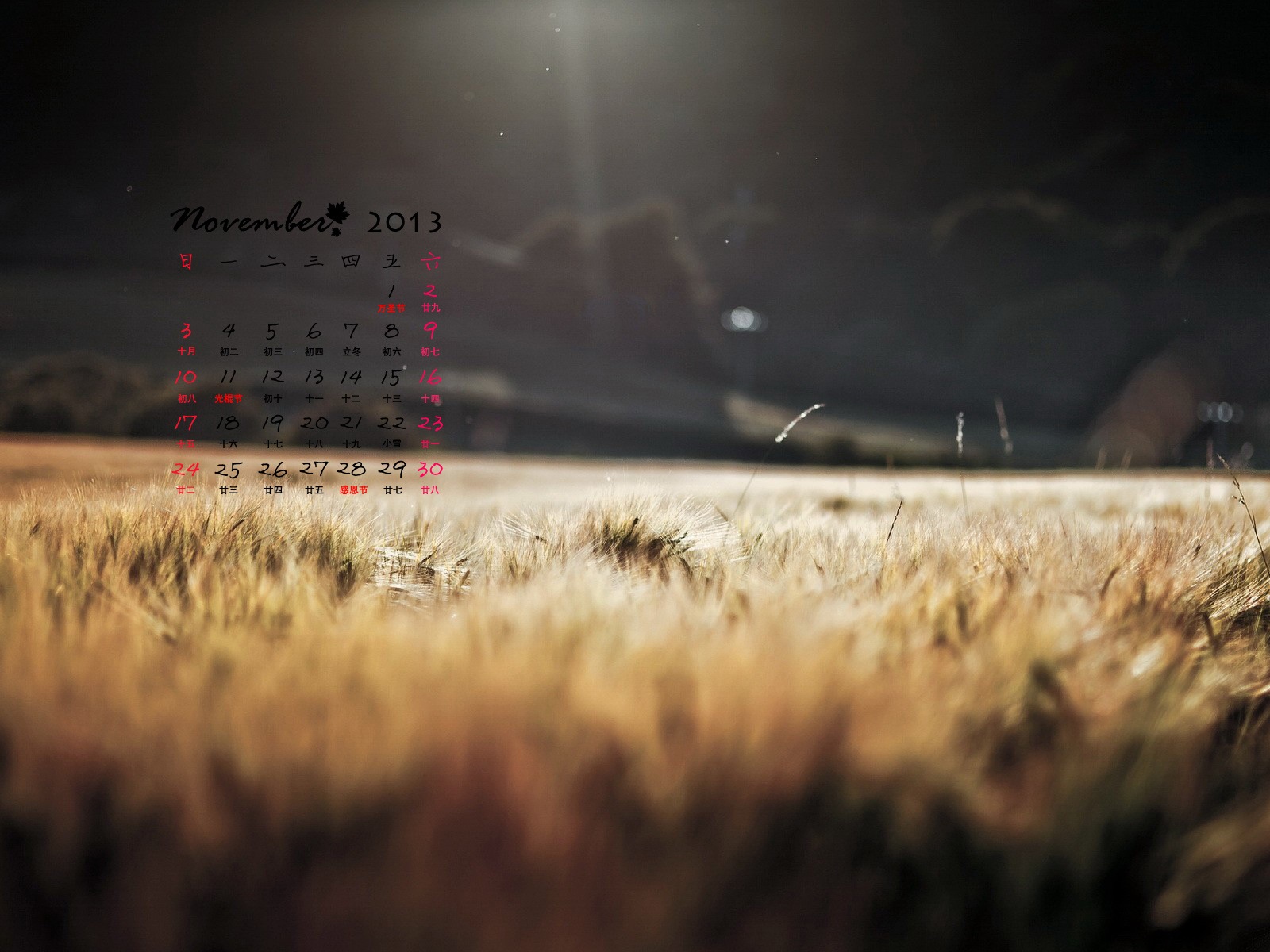 November 2013 Calendar wallpaper (1) #12 - 1600x1200