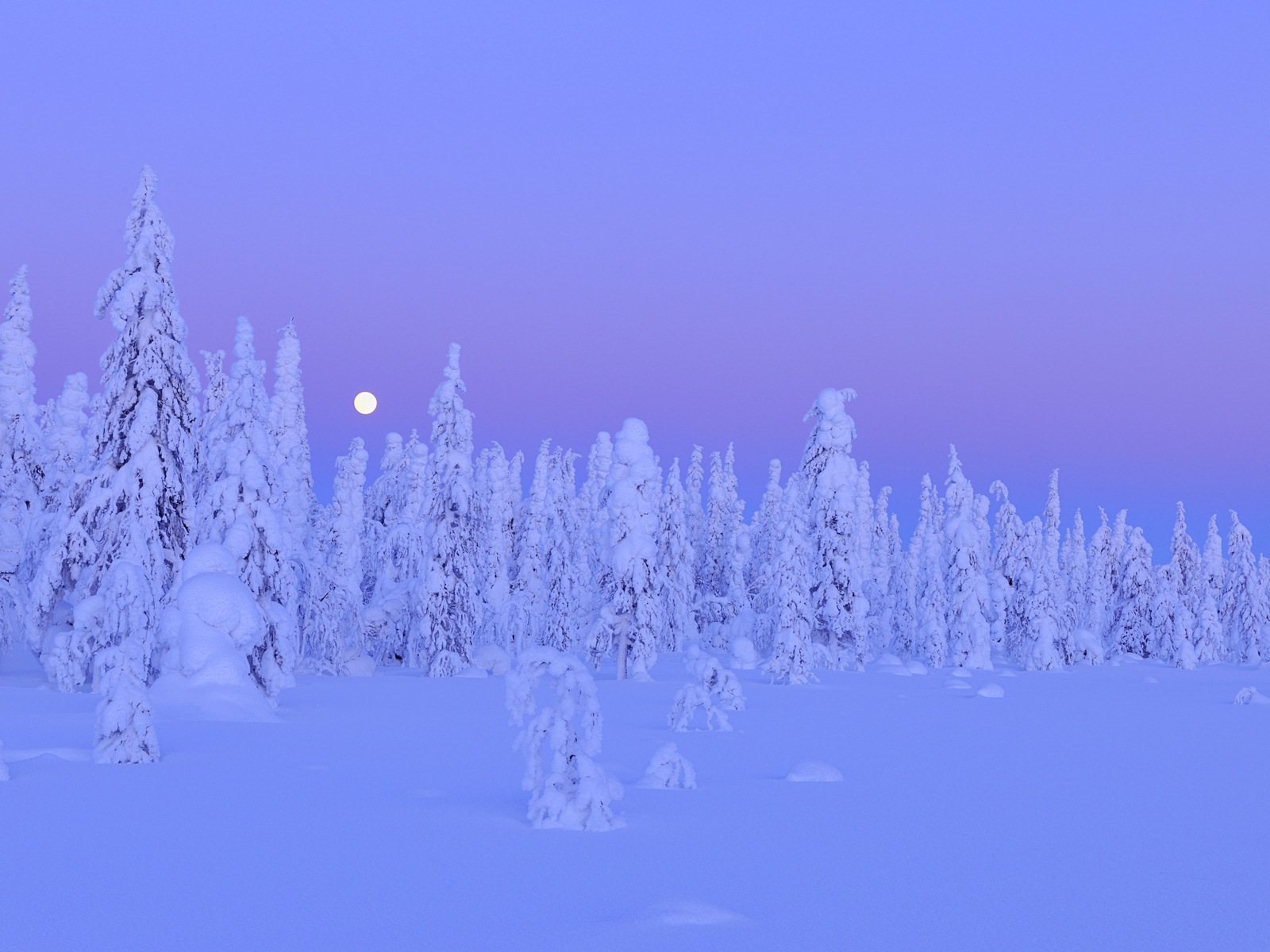 Windows 8 主題高清壁紙：冬季雪的夜景 #12 - 1600x1200