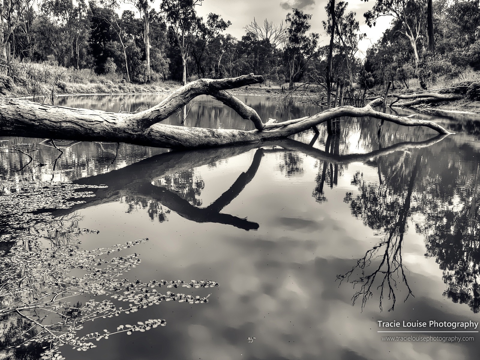 Queensland, Australie, de beaux paysages, fonds d'écran Windows 8 thème HD #11 - 1600x1200