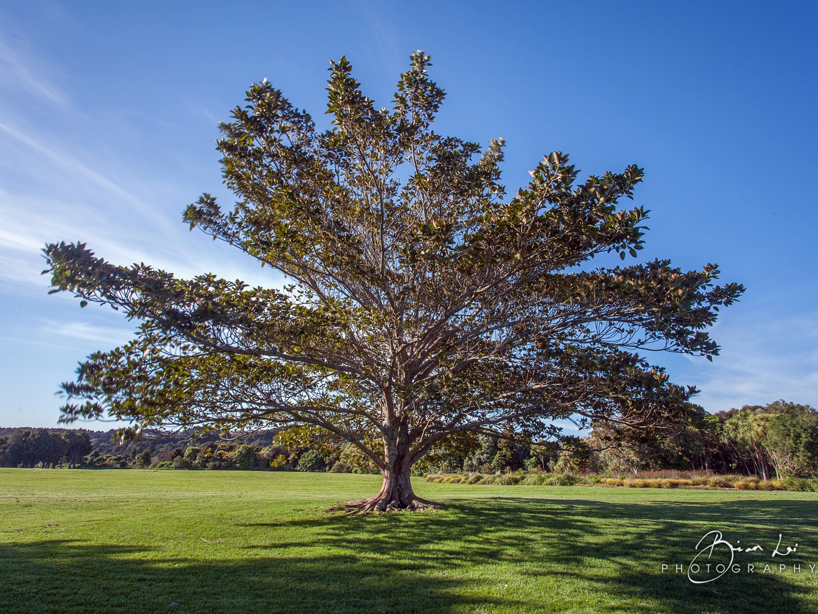 New Zealand North Island beautiful scenery, Windows 8 theme wallpapers #10 - 1600x1200