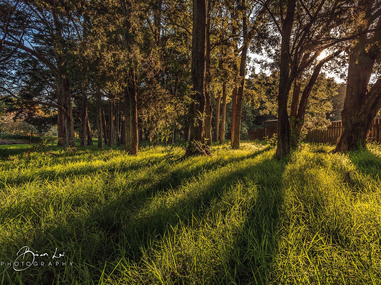 New Zealand North Island beautiful scenery, Windows 8 theme wallpapers #13 - 1600x1200