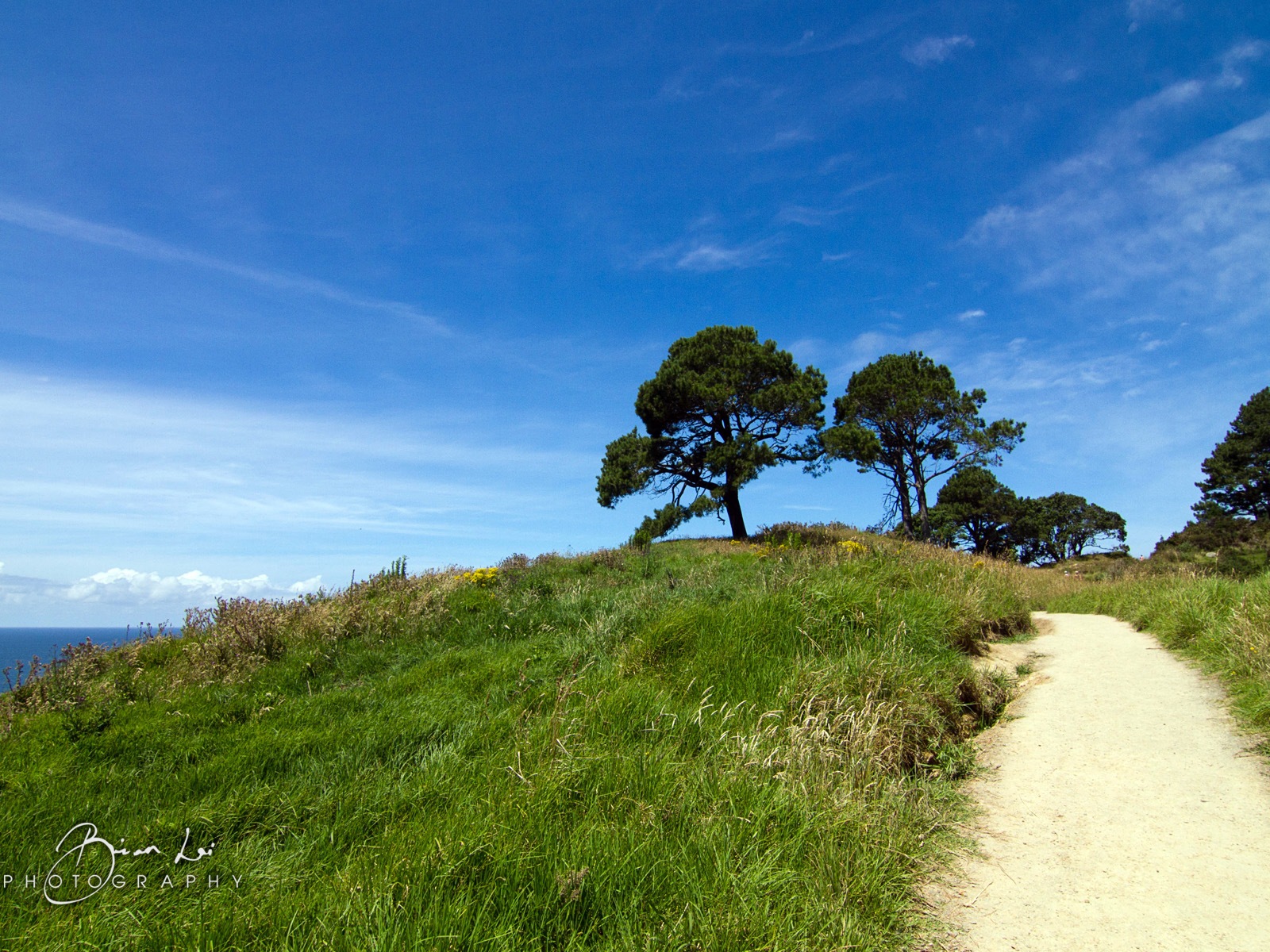 New Zealand North Island beautiful scenery, Windows 8 theme wallpapers #18 - 1600x1200