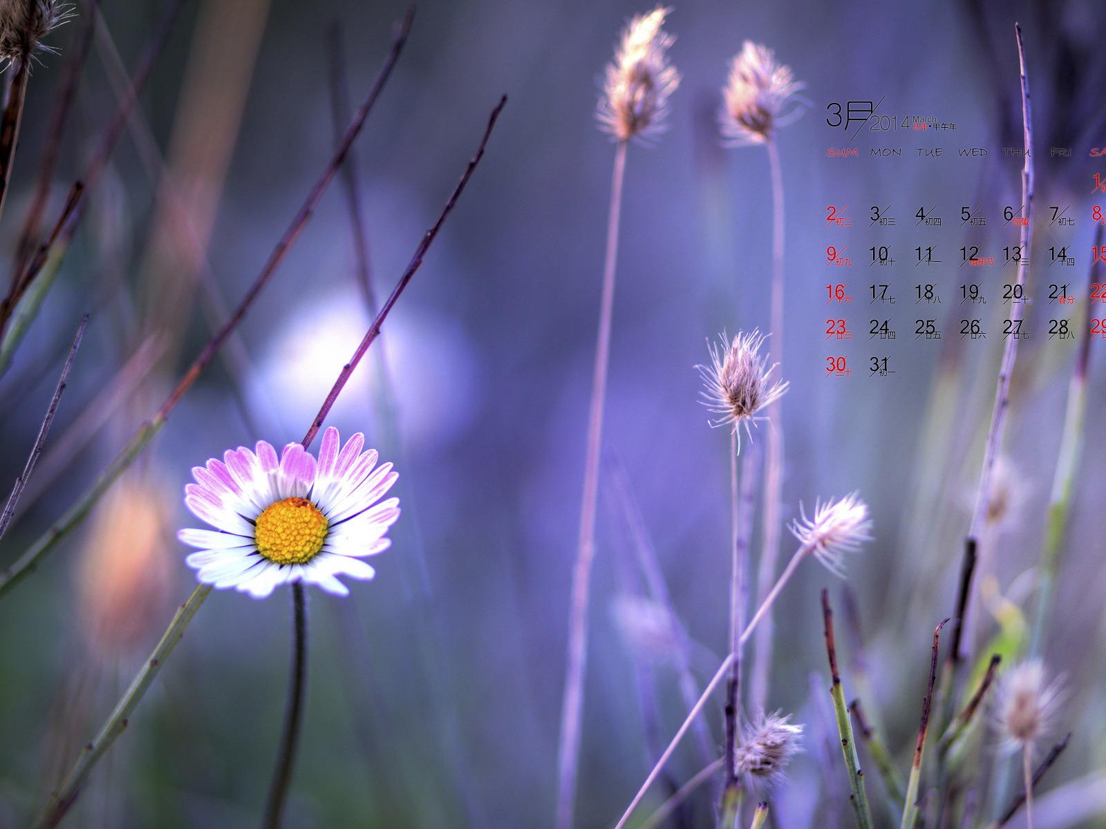 2014年3月 月曆壁紙(一) #7 - 1600x1200