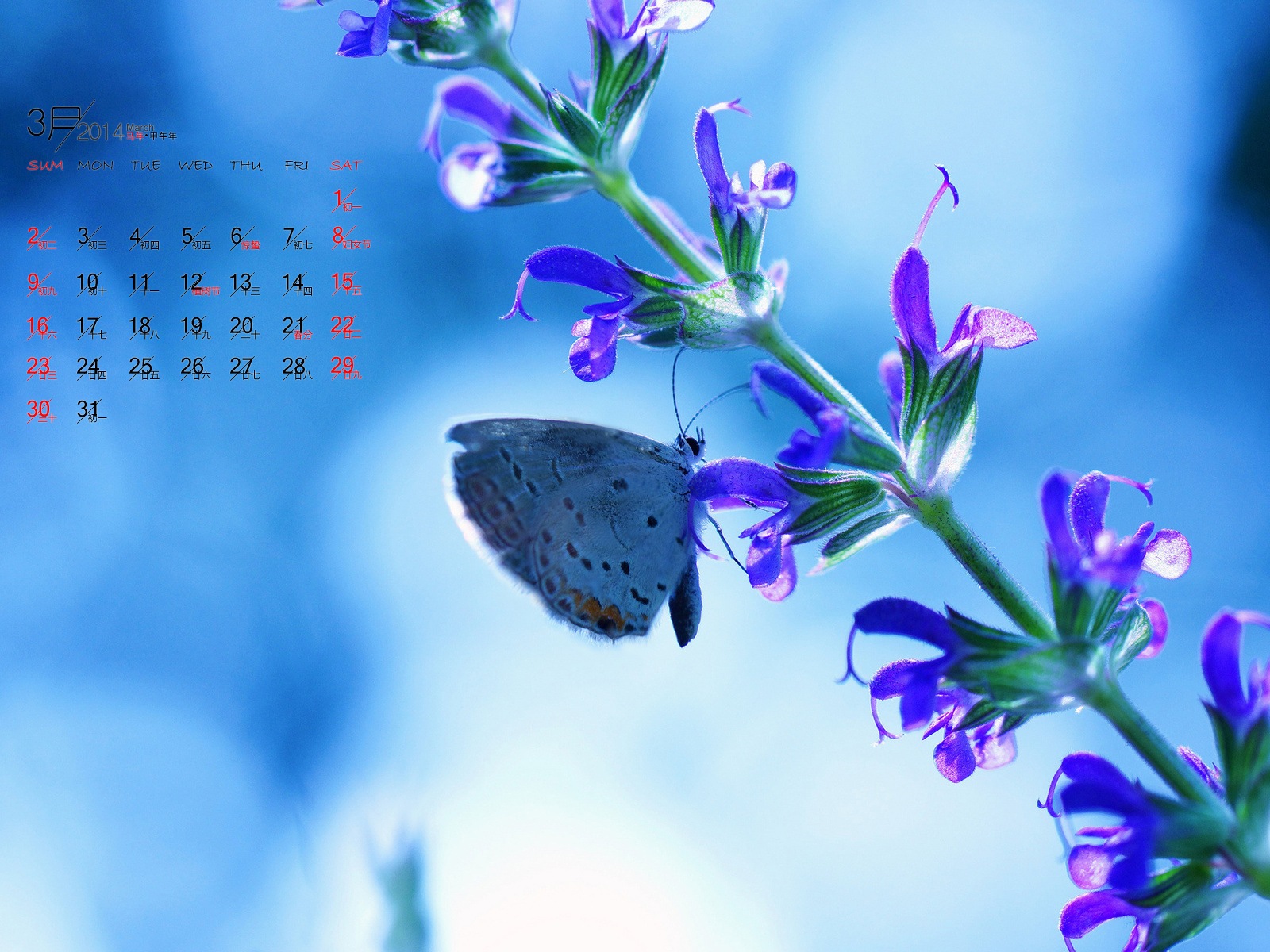2014年3月 月曆壁紙(一) #9 - 1600x1200