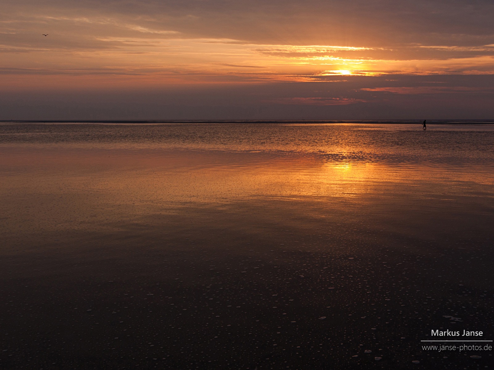 Spiekeroog 施皮克奧格島風景，Windows 8 主題壁紙 #5 - 1600x1200