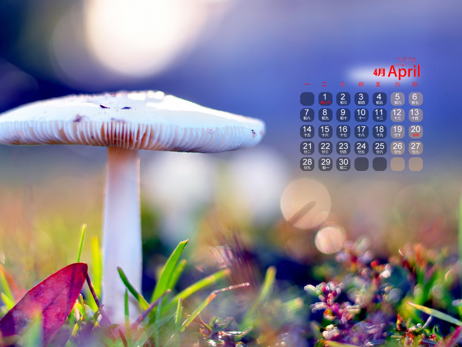 April 2014 Kalender Wallpaper (1) #14 - 1600x1200