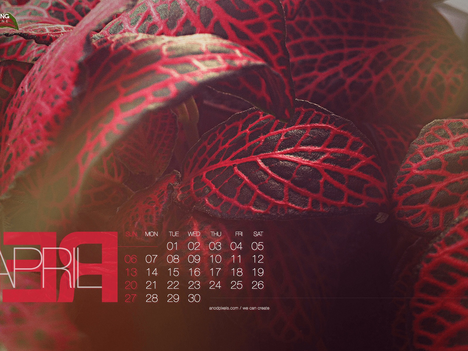2014年4月 月曆壁紙(二) #20 - 1600x1200