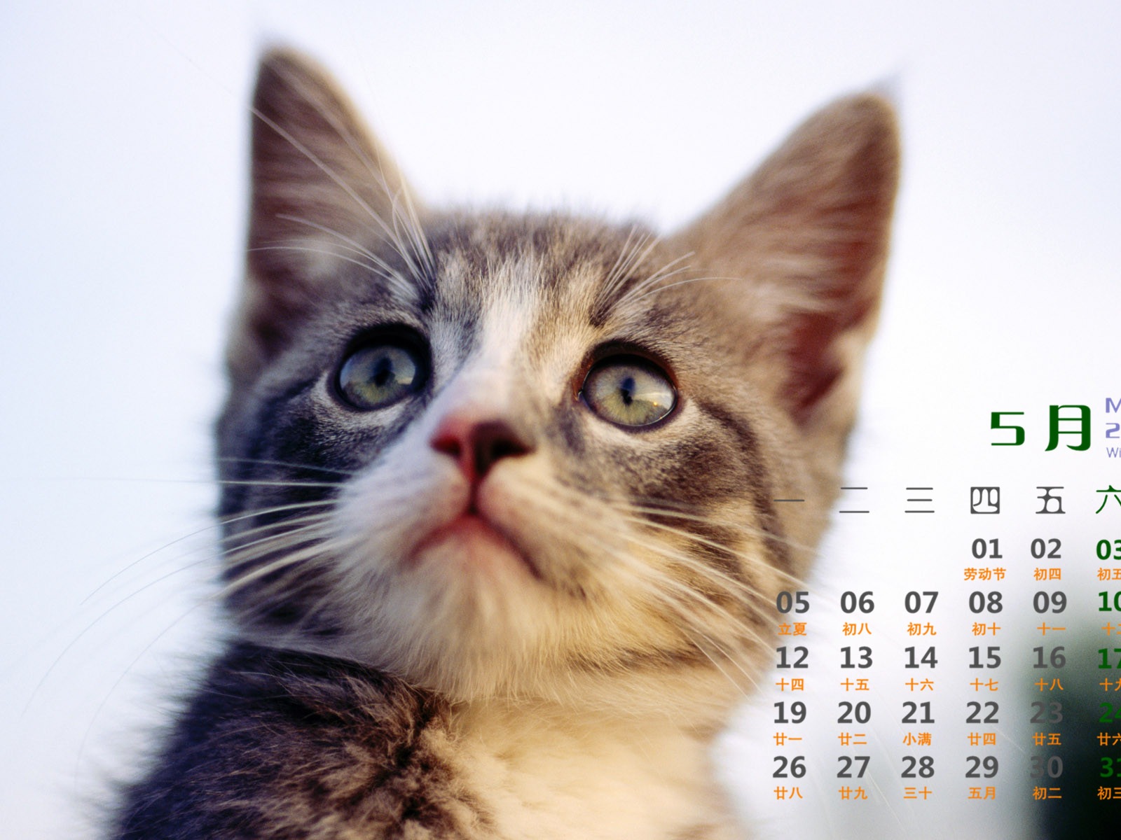 May 2014 calendar wallpaper (1) #13 - 1600x1200