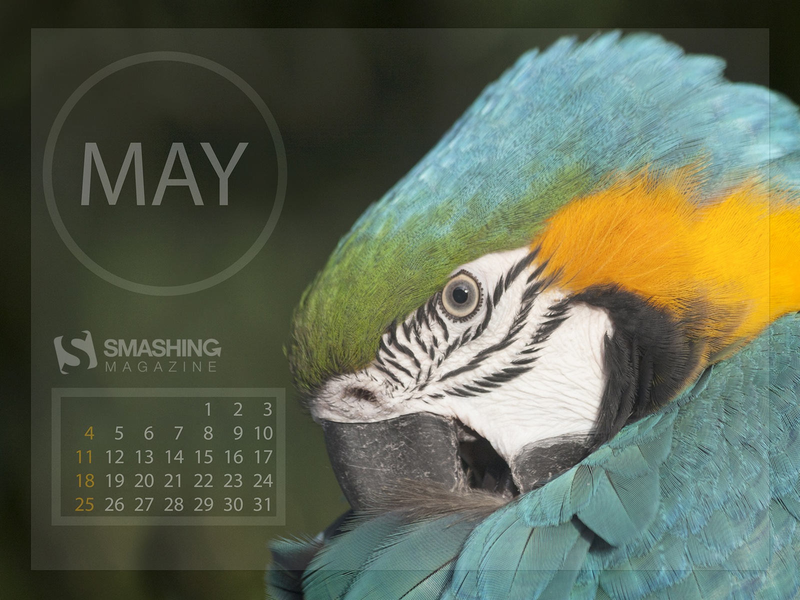 May 2014 calendar wallpaper (2) #16 - 1600x1200