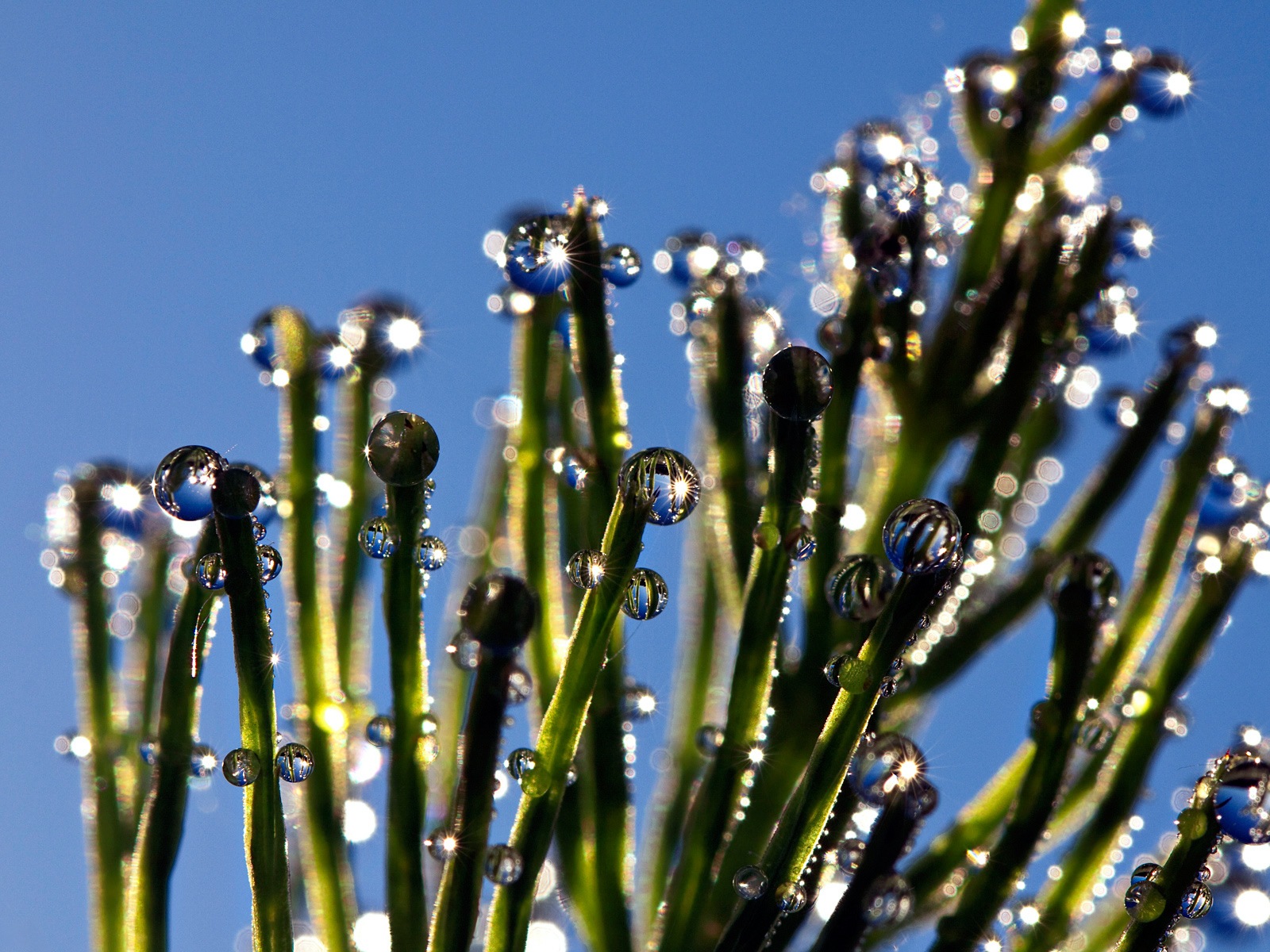 Water, the source of life, Windows 8 theme HD wallpapers #5 - 1600x1200