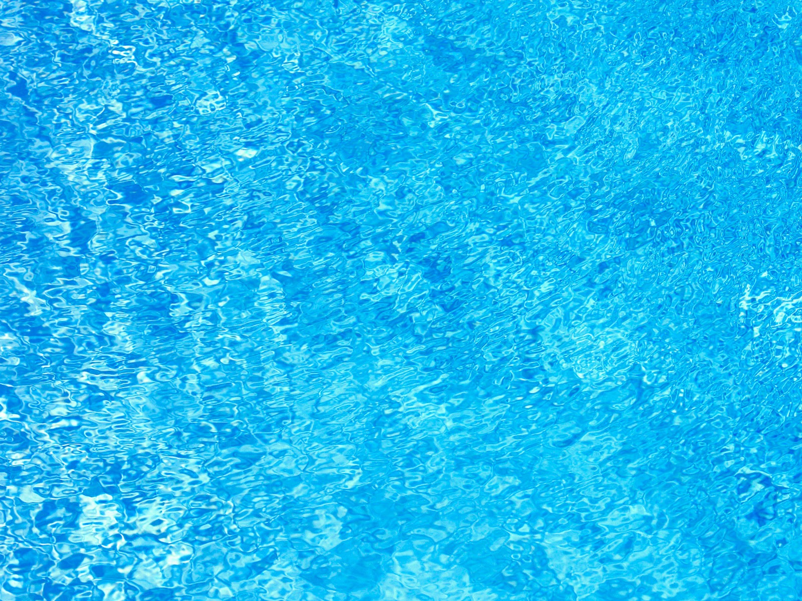 Water, the source of life, Windows 8 theme HD wallpapers #9 - 1600x1200