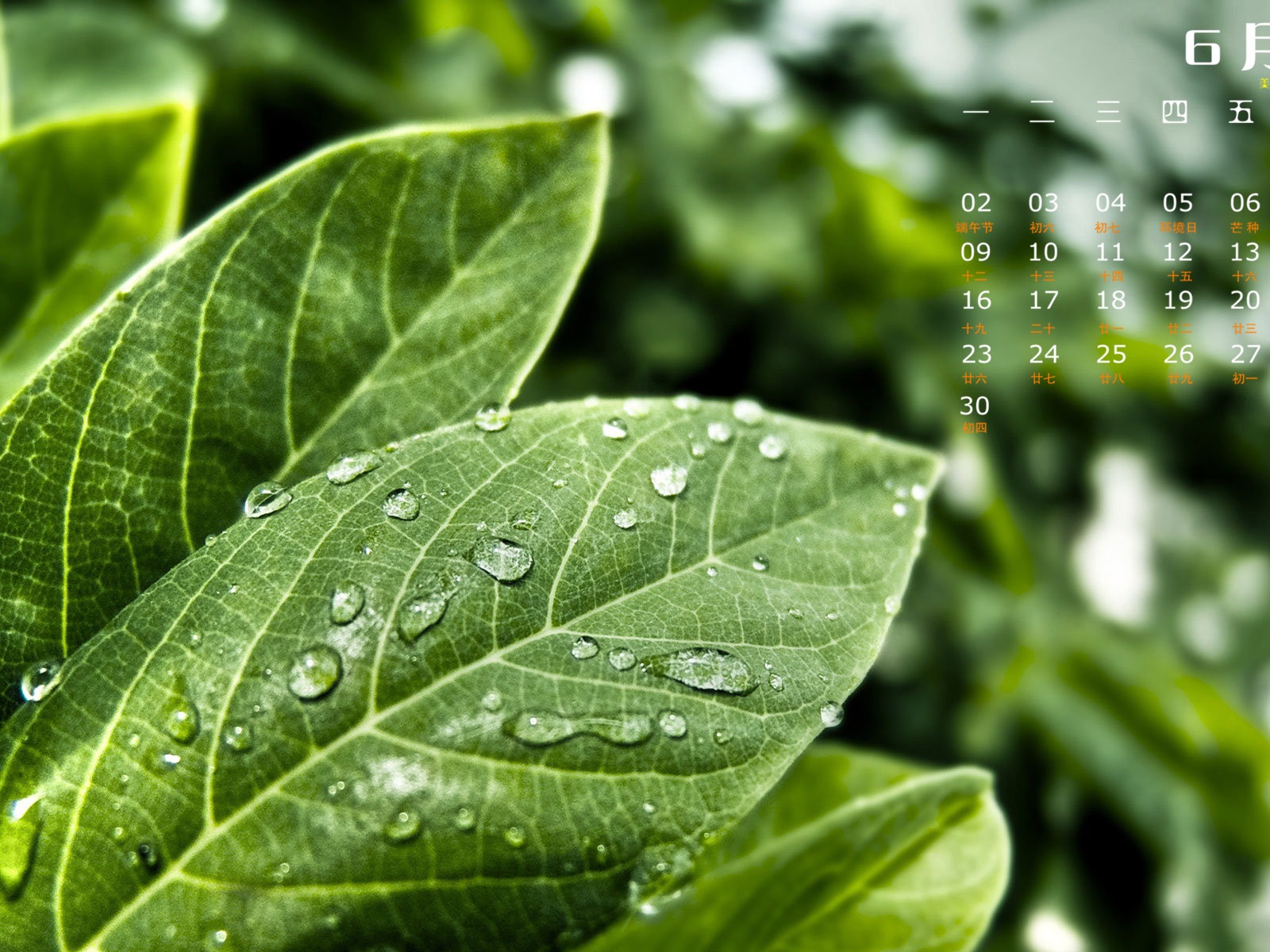 2014年6月 月曆壁紙(一) #4 - 1600x1200