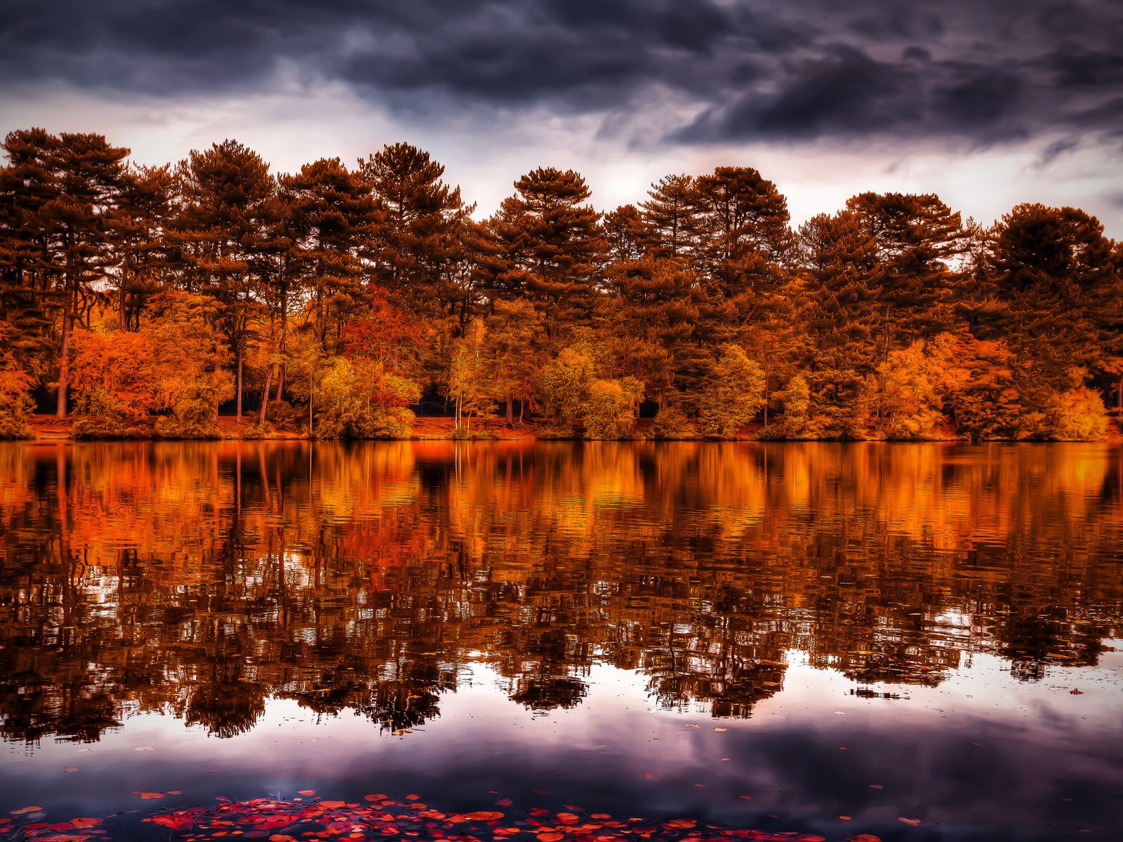 Voda a stromy v podzimních HD tapety na plochu #13 - 1600x1200