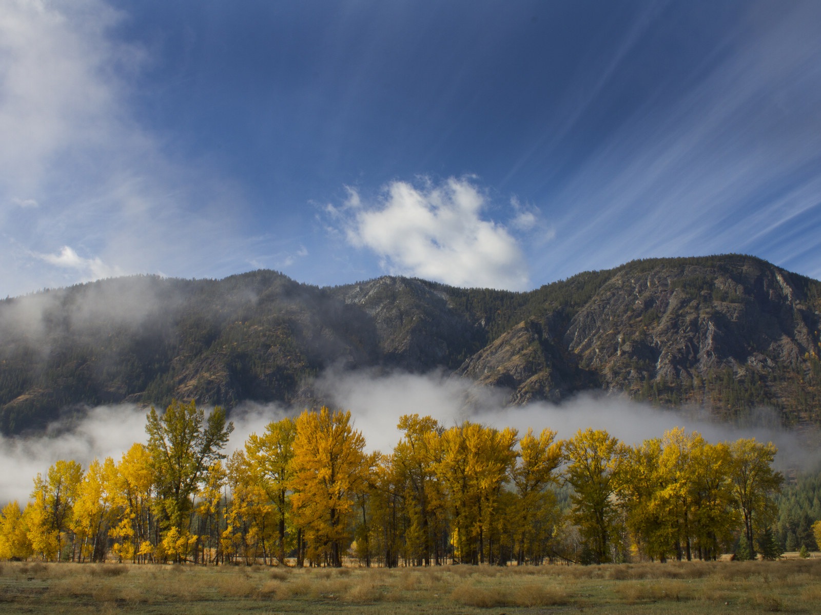 Foggy autumn leaves and trees HD wallpapers #9 - 1600x1200