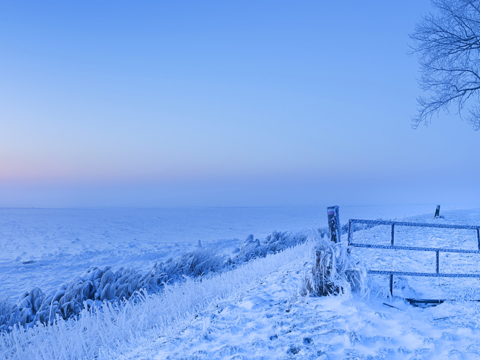 寒冷冬天美麗的雪景，Windows 8 全景寬屏壁紙 #2 - 1600x1200