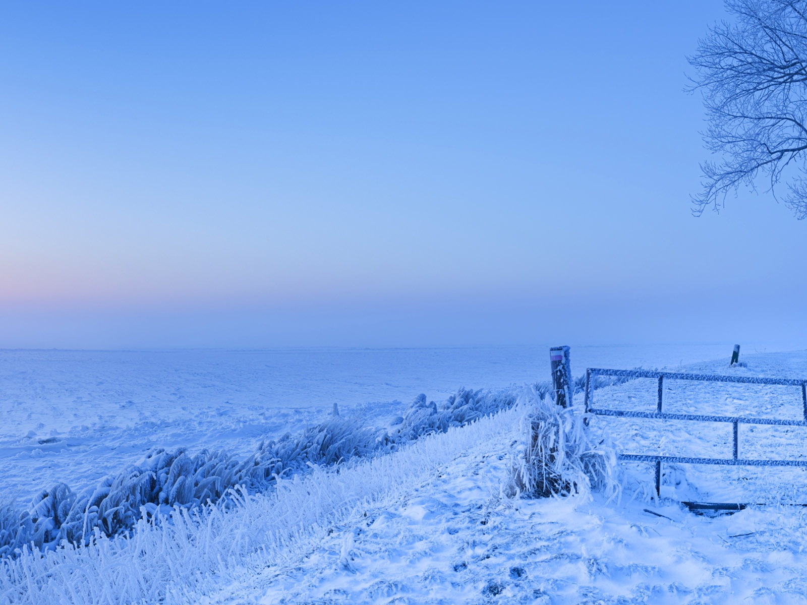 美しい寒い冬の雪、Windows 8のパノラマワイドスクリーンの壁紙 #2 - 1600x1200