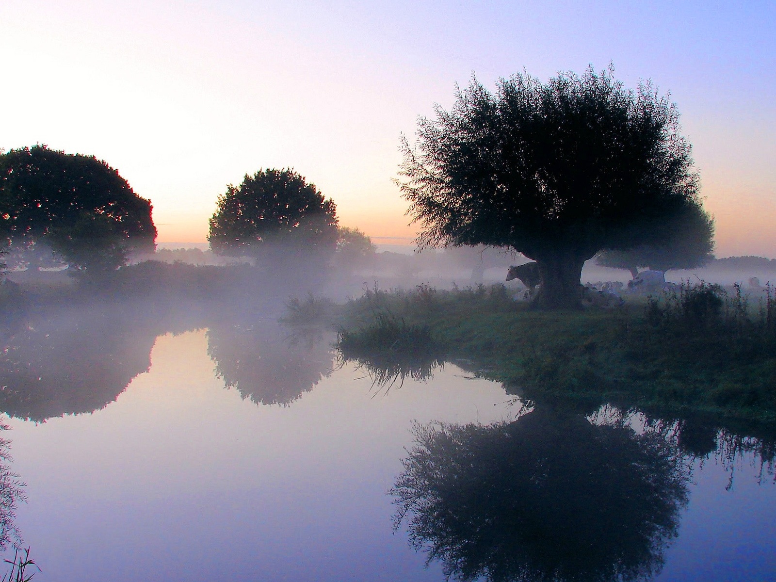 朦朧的清晨風景，Windows 8 主題壁紙 #4 - 1600x1200