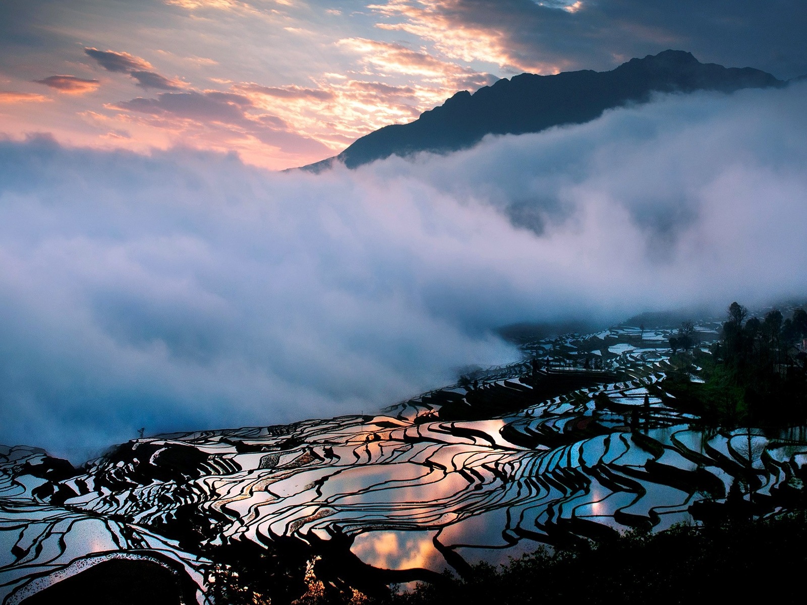 ミスティ朝の風景、Windowsの8テーマの壁紙 #5 - 1600x1200