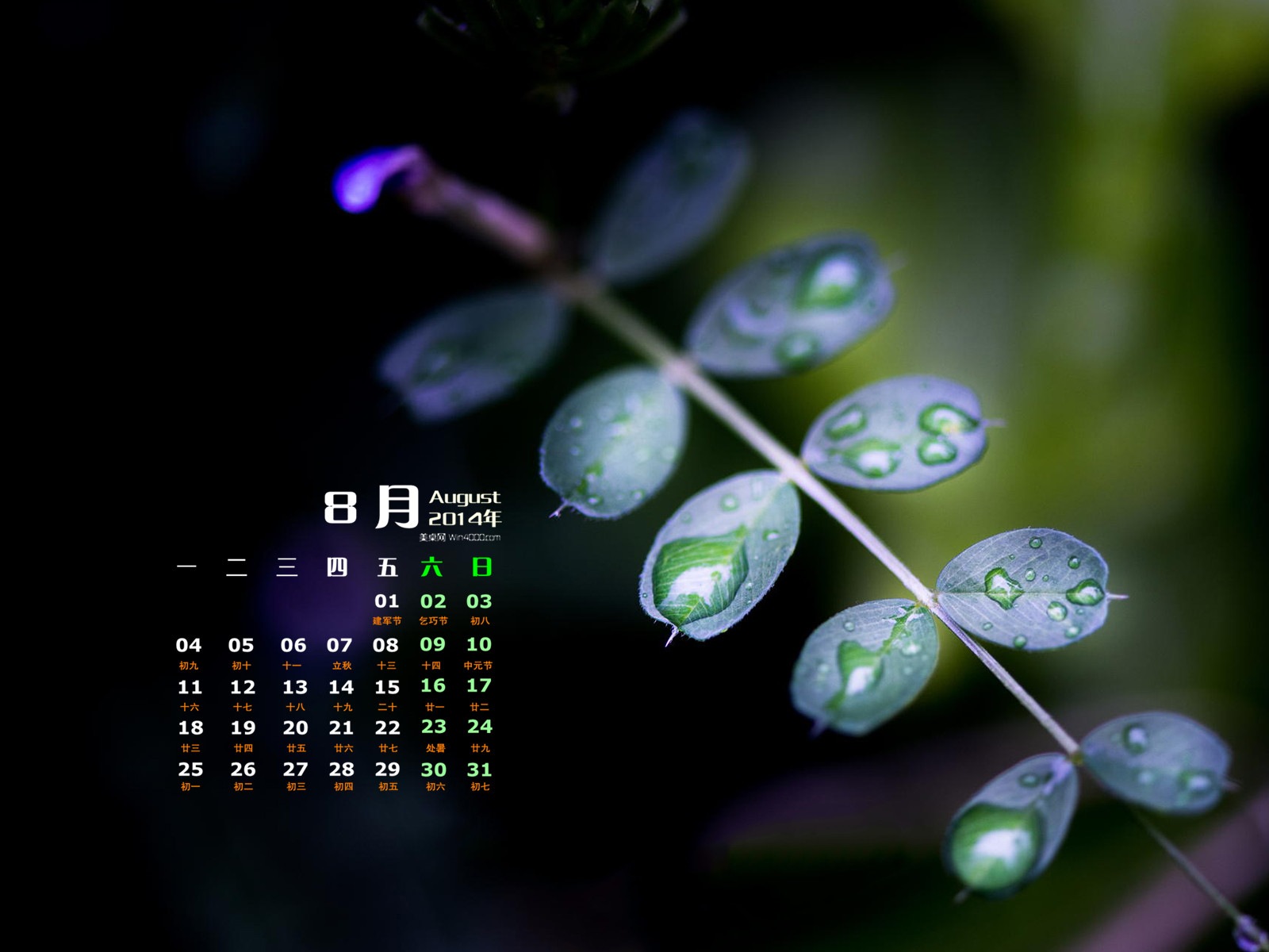 2014年8月 月曆壁紙(一) #9 - 1600x1200