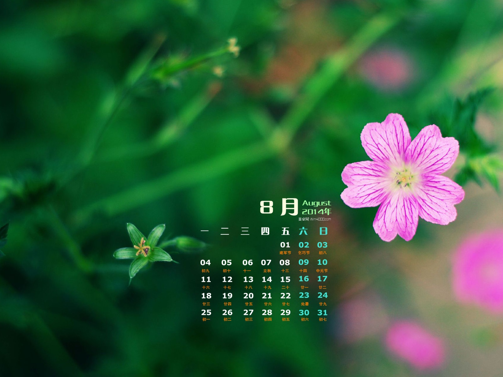 2014年8月 月曆壁紙(一) #10 - 1600x1200