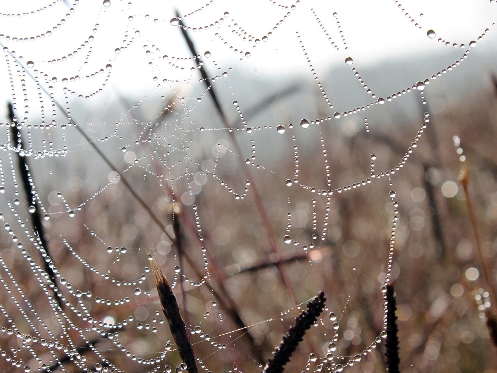 水的主題，Windows 8 高清壁紙 #20 - 1600x1200