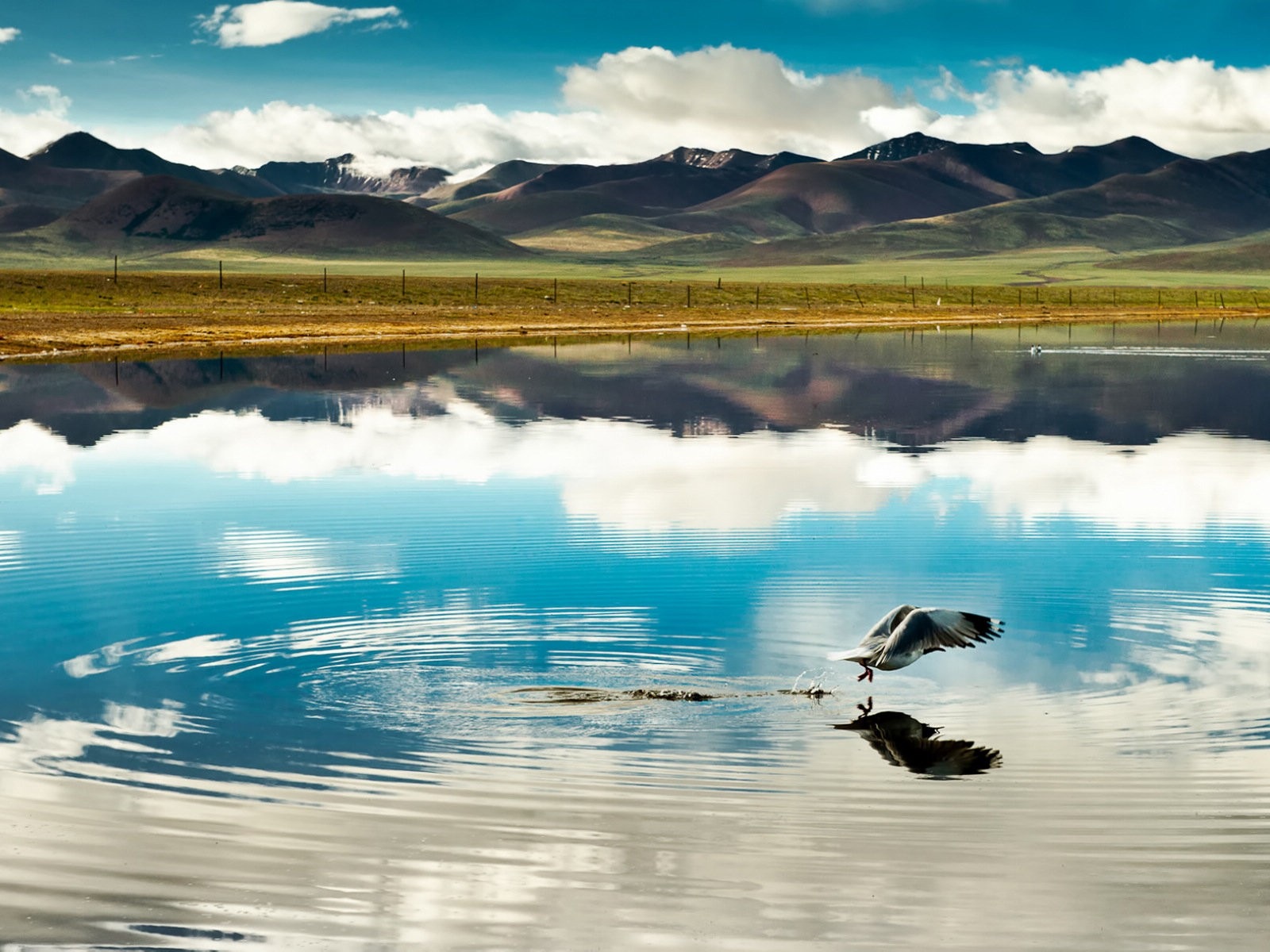 Qinghai Plateau krásné scenérie tapety #2 - 1600x1200