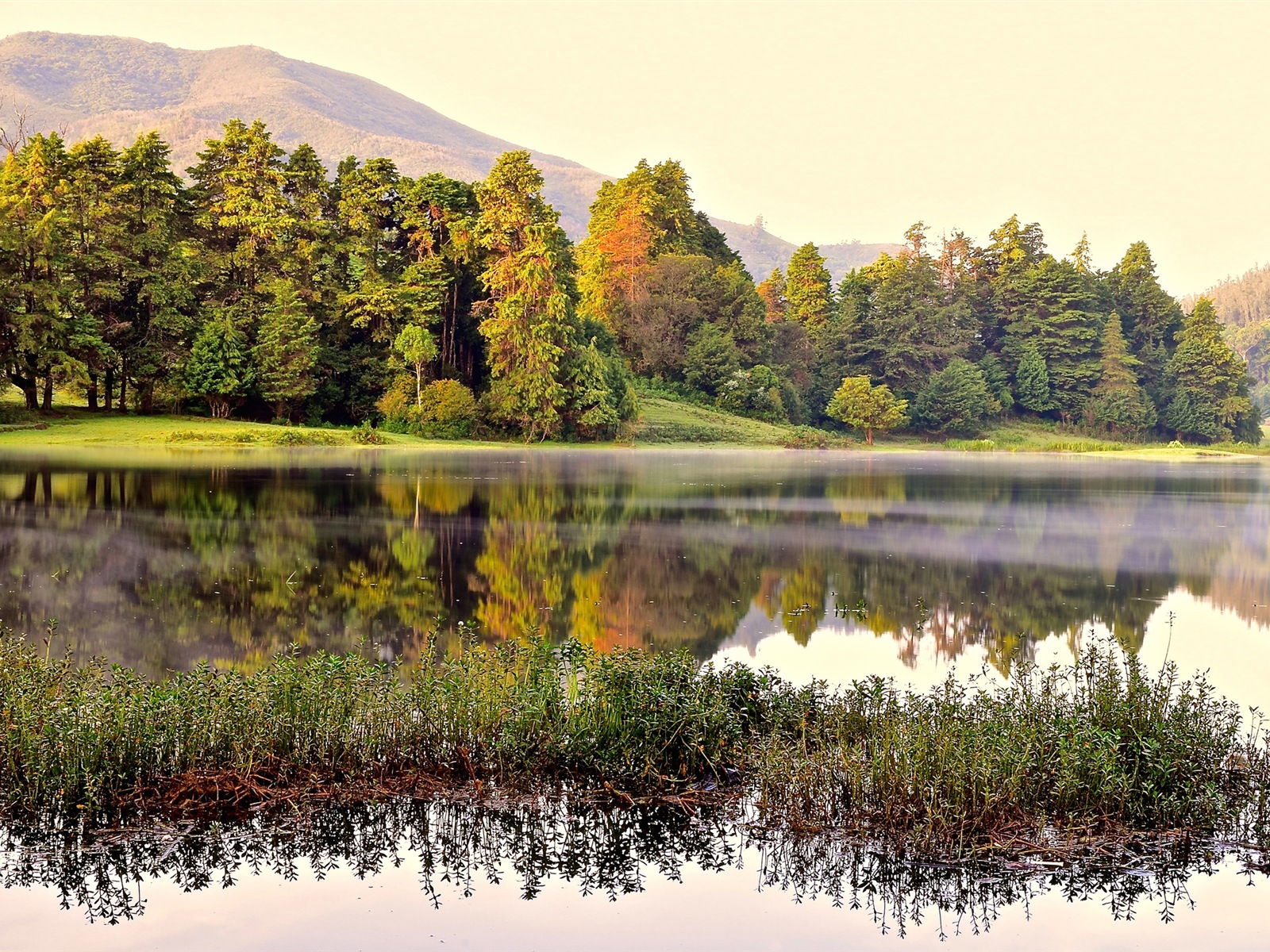 Sunshine lesní jezera krása přírody HD tapetu #14 - 1600x1200