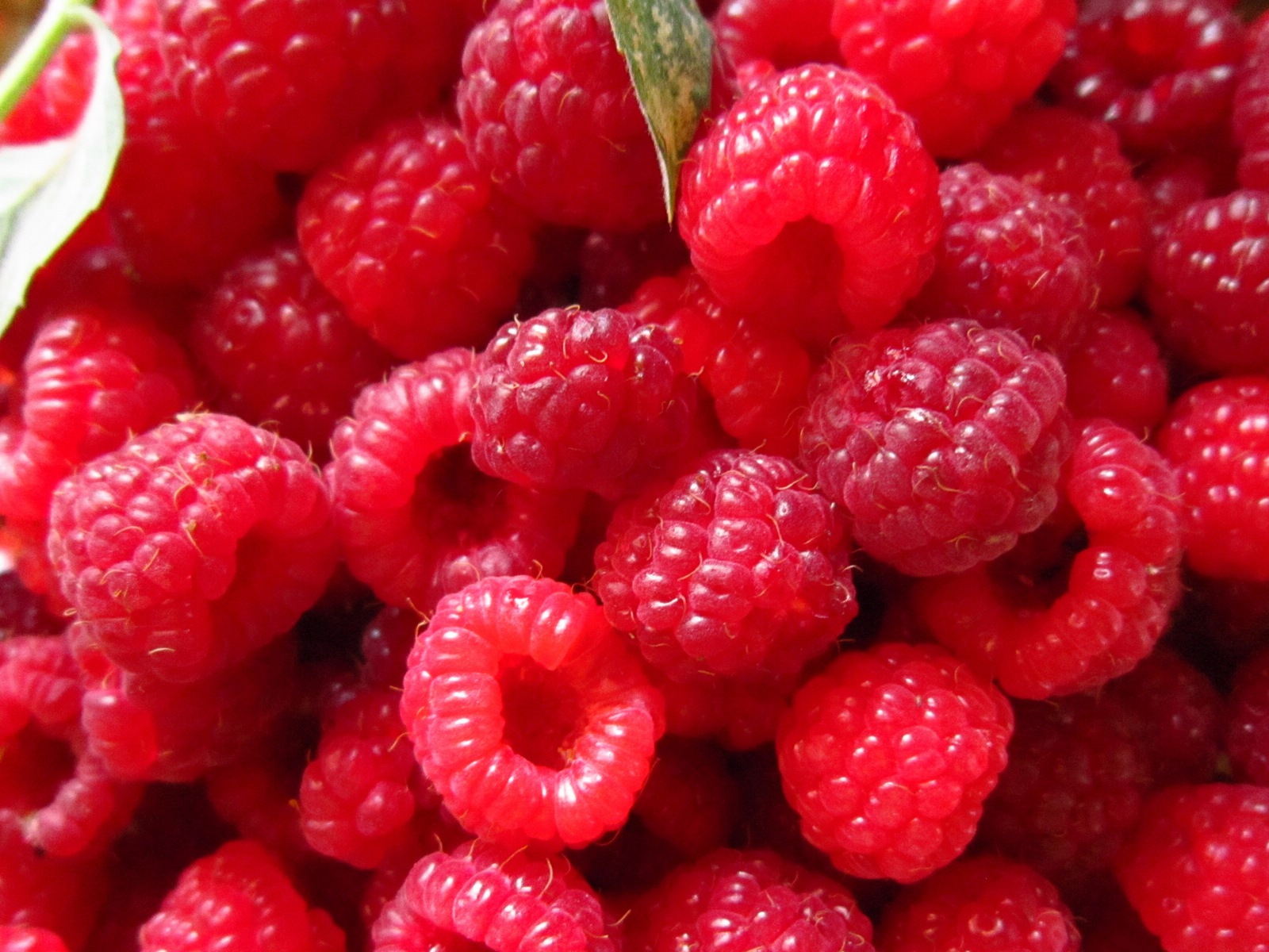 Fondos de pantalla de alta definición de frambuesa roja dulces #4 - 1600x1200