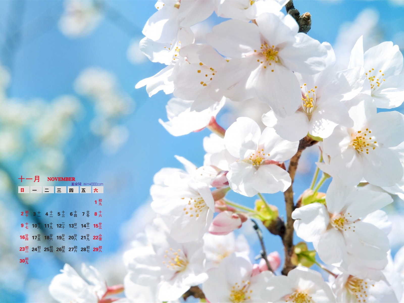 November 2014 Calendar wallpaper(1) #18 - 1600x1200