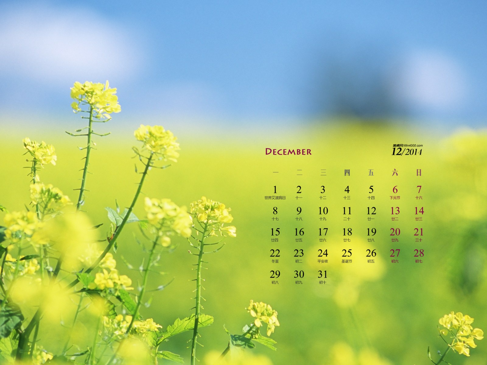 2014年12月 月曆壁紙(一) #8 - 1600x1200