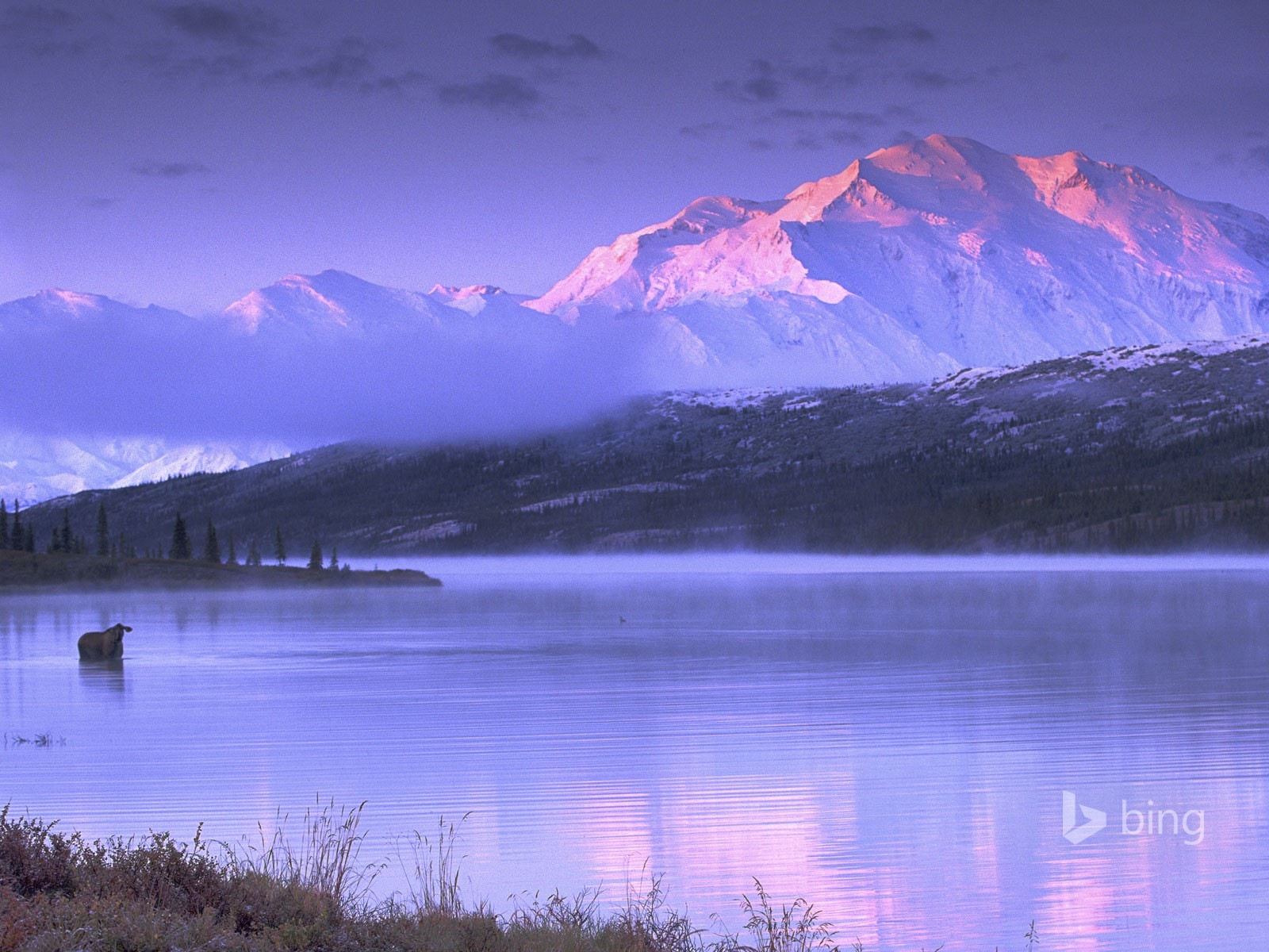 11. 2014 Bing Tapety #7 - 1600x1200