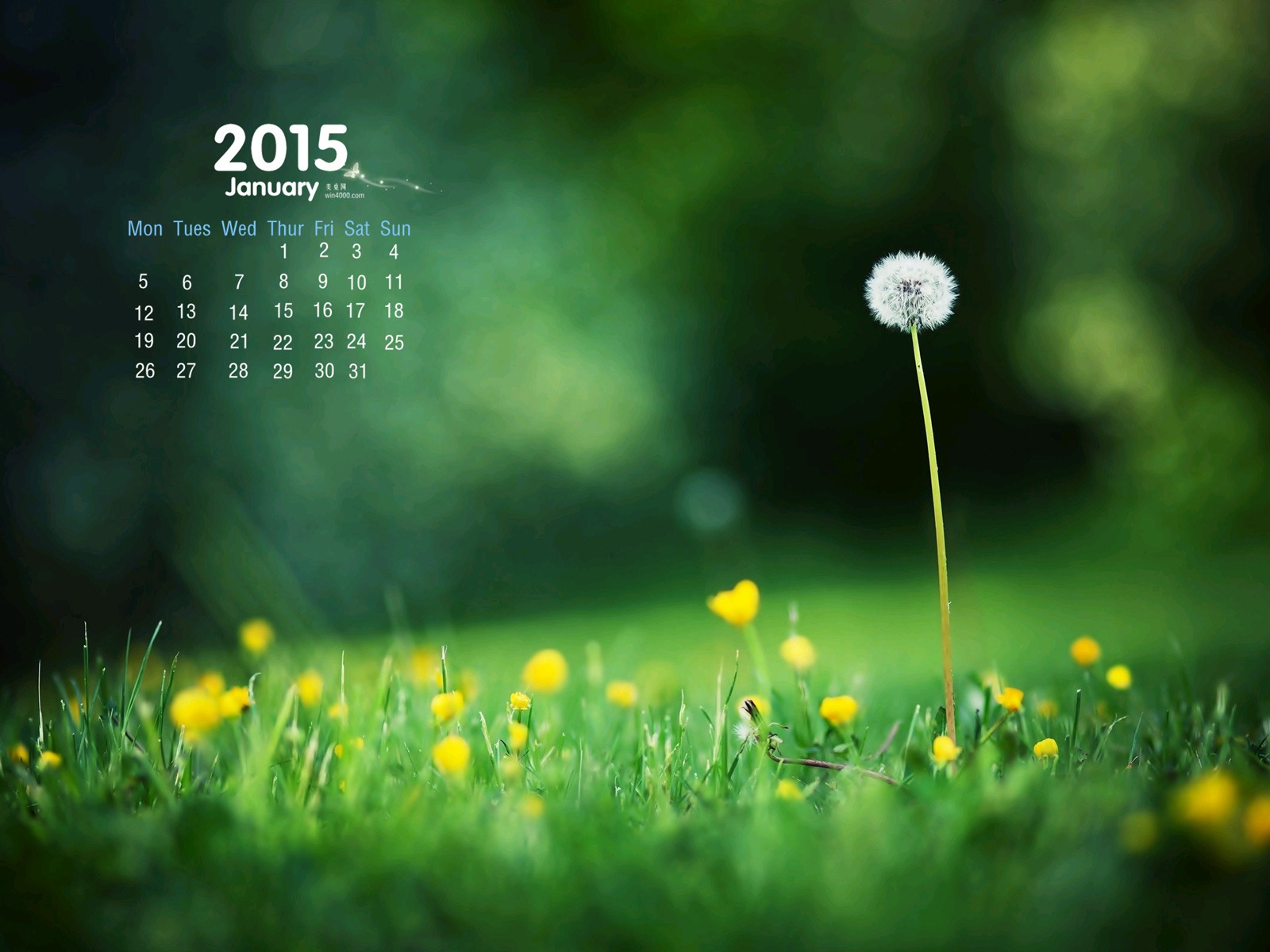2015年1月 月曆壁紙(一) #15 - 1600x1200