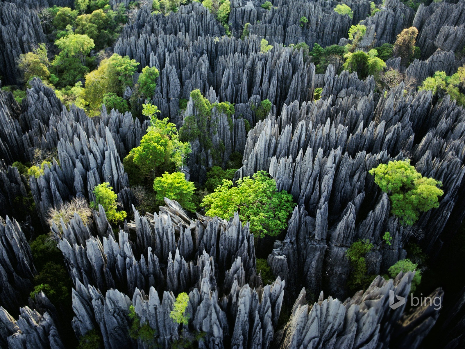 Janvier 2015 fonds d'écran HD Bing #29 - 1600x1200