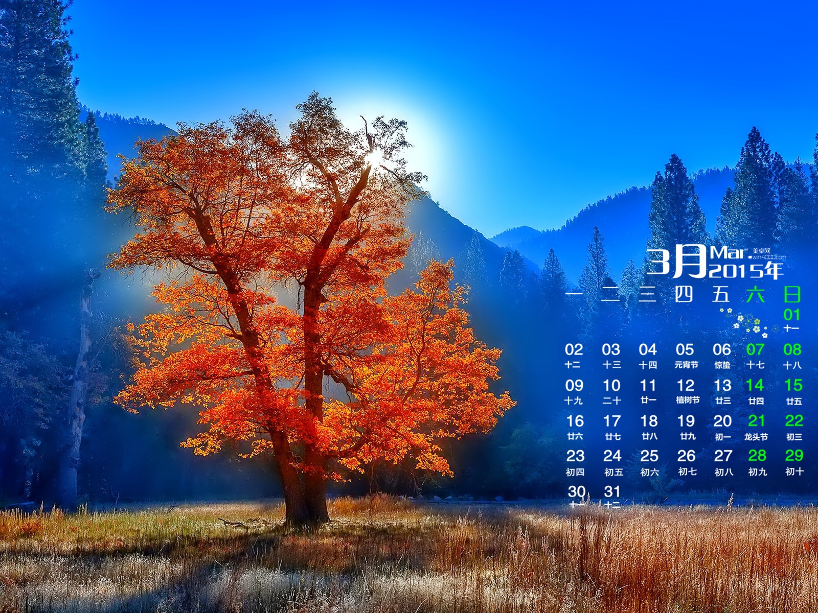 2015年3月 月曆壁紙(一) #16 - 1600x1200