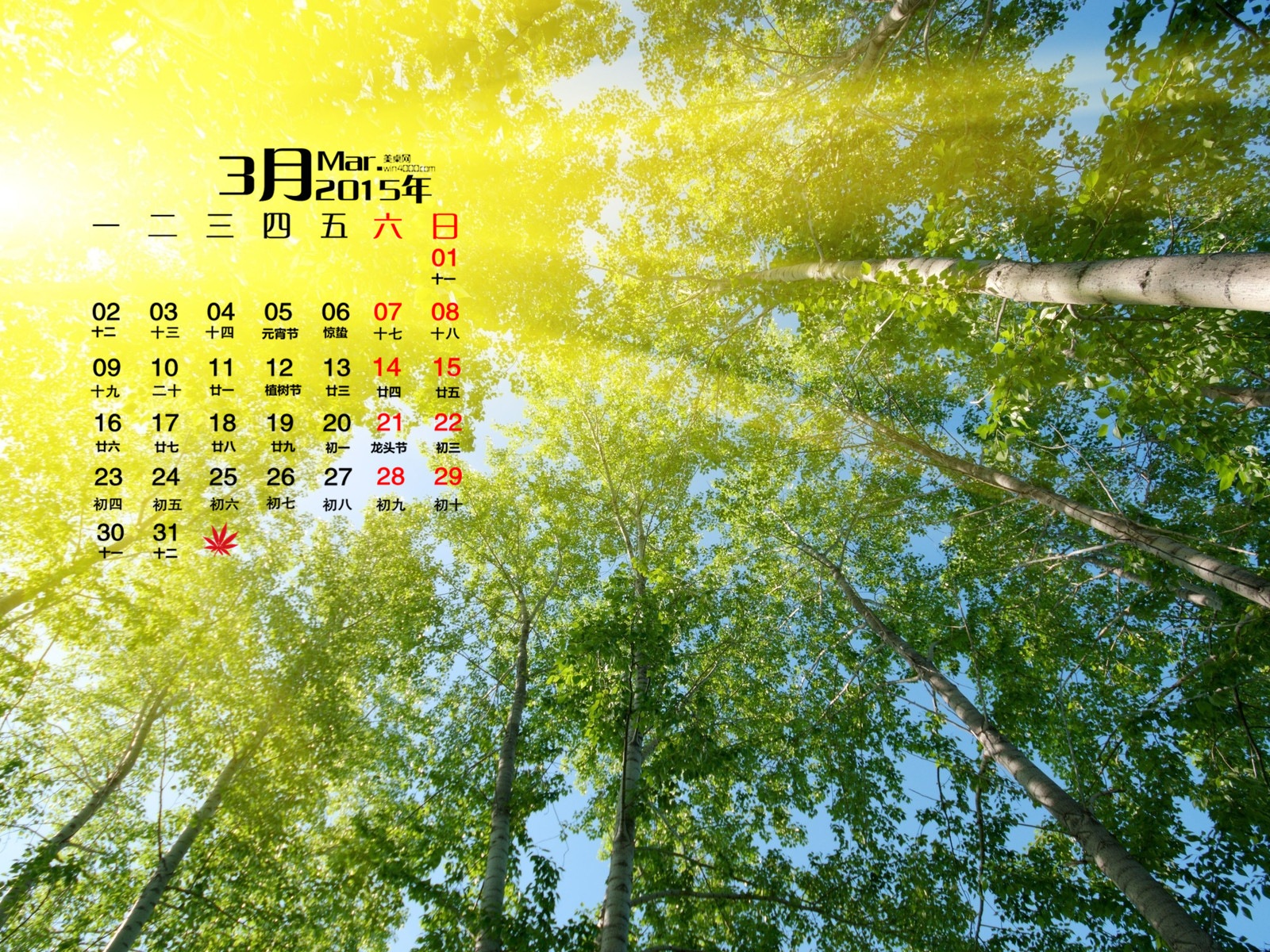 March 2015 Calendar wallpaper (1) #20 - 1600x1200