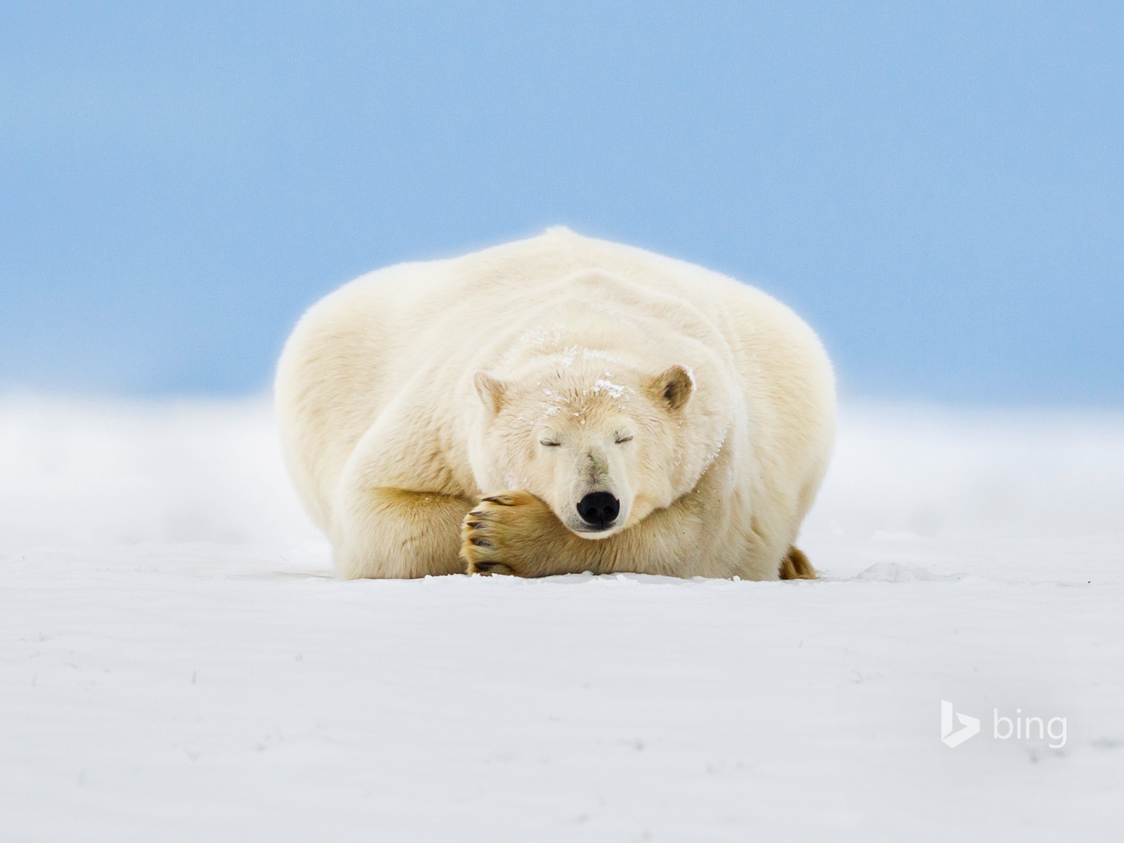 02 2015 fondos de pantalla HD Bing #9 - 1600x1200