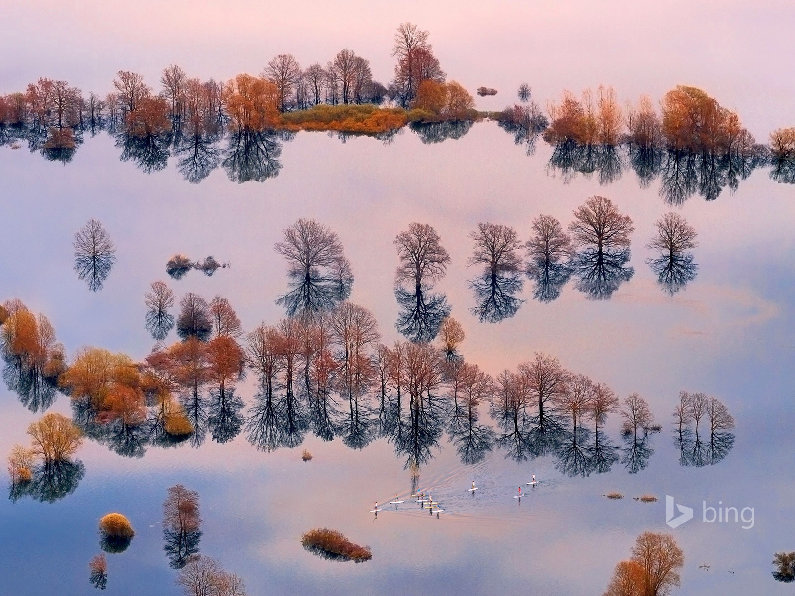 Février 2015 fonds d'écran HD Bing #15 - 1600x1200