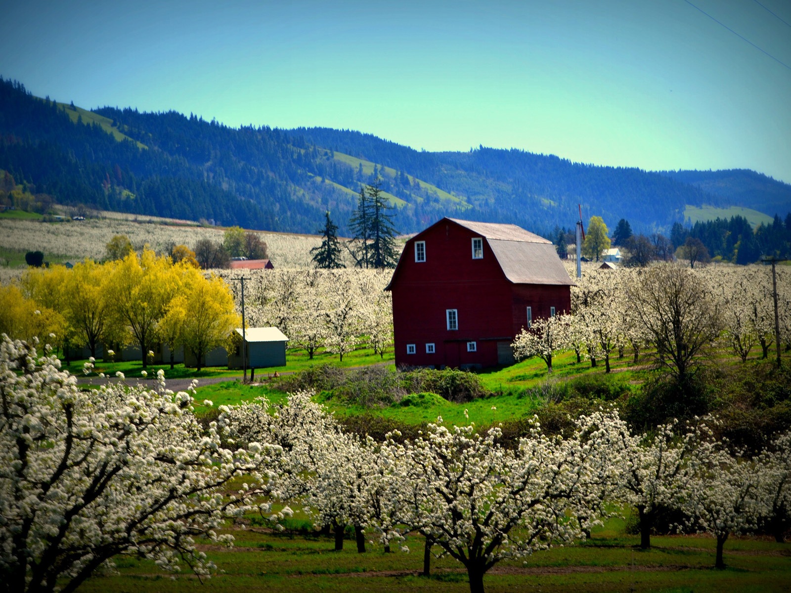 田園風景、Windows 8のHDの壁紙 #13 - 1600x1200