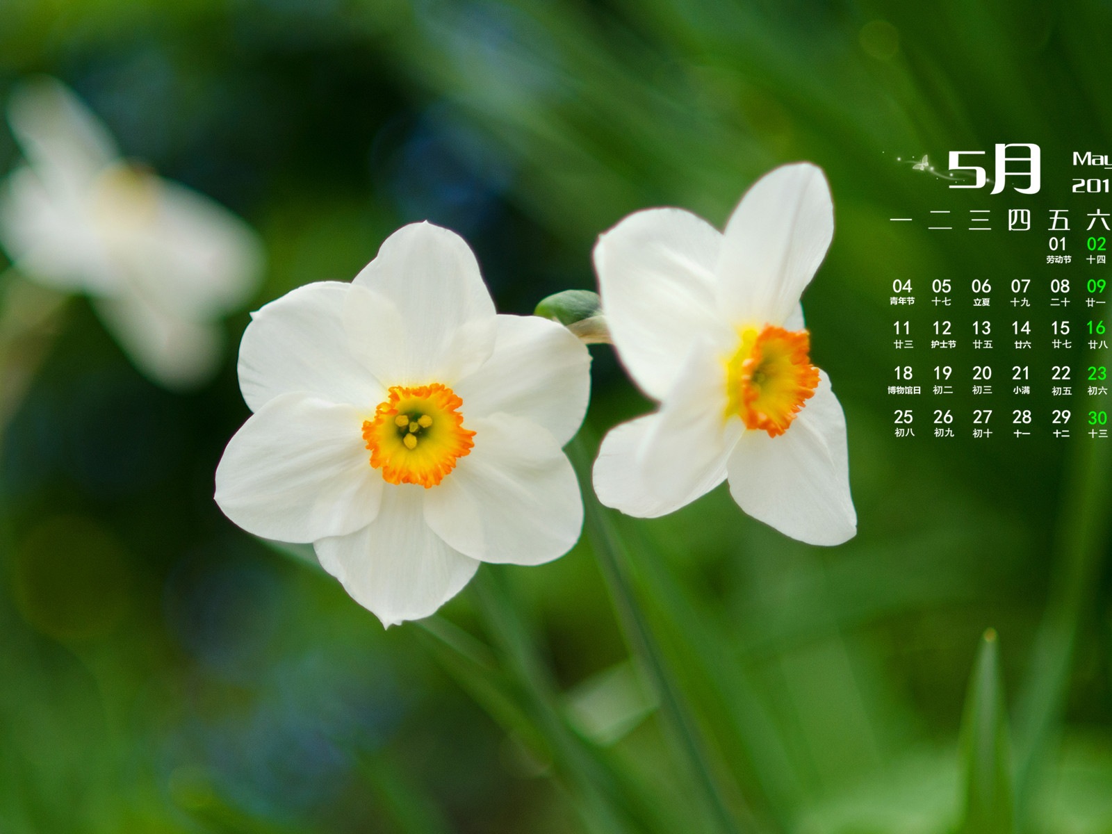 Mai 2015 Kalender Wallpaper (1) #12 - 1600x1200