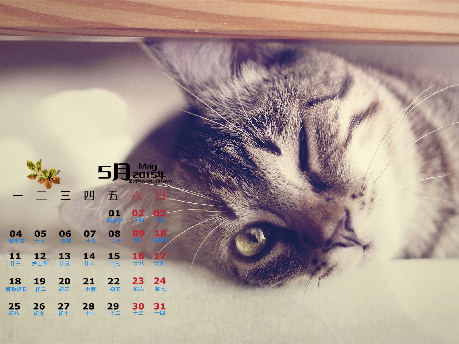 Mai 2015 Kalender Wallpaper (1) #14 - 1600x1200