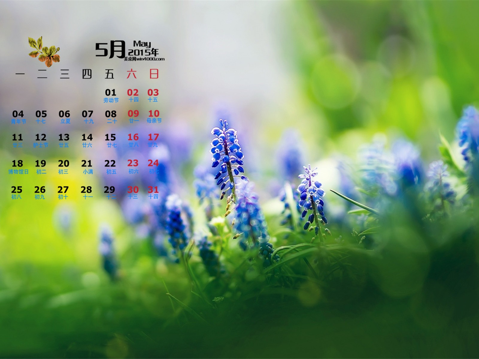 Mai 2015 Kalender Wallpaper (1) #16 - 1600x1200
