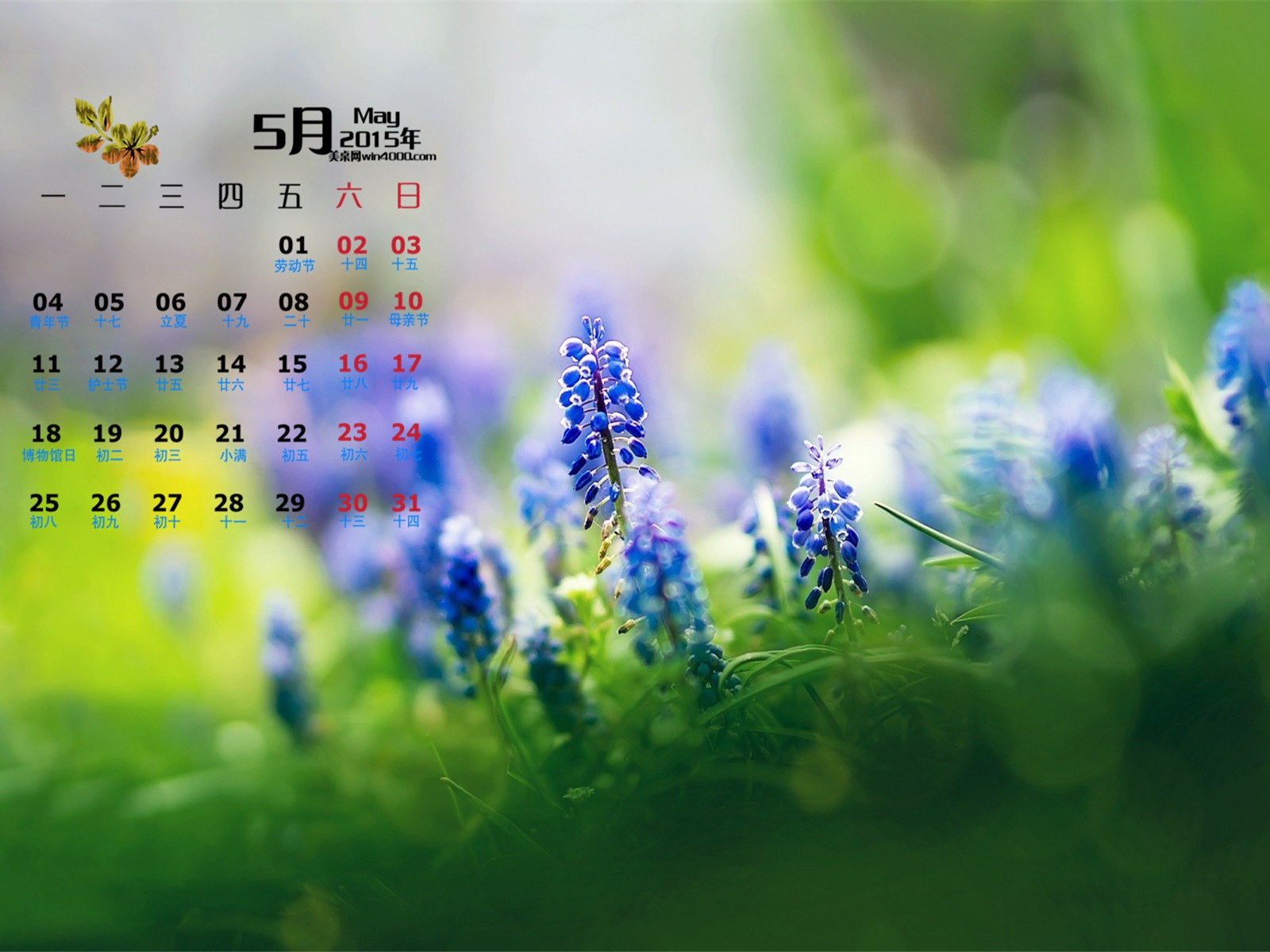 May 2015 calendar wallpaper (1) #16 - 1600x1200