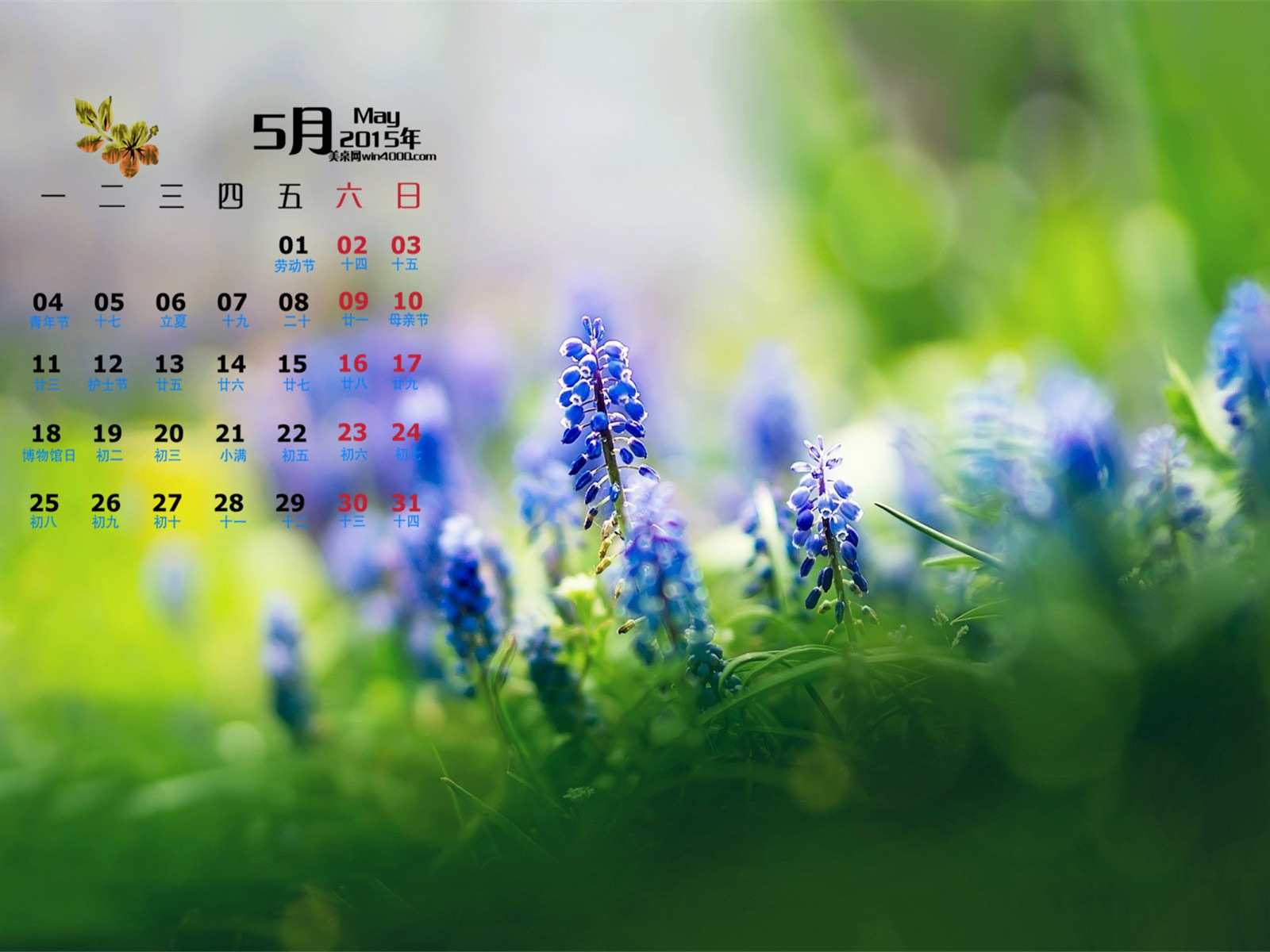 2015年5月 月历壁纸(一)16 - 1600x1200